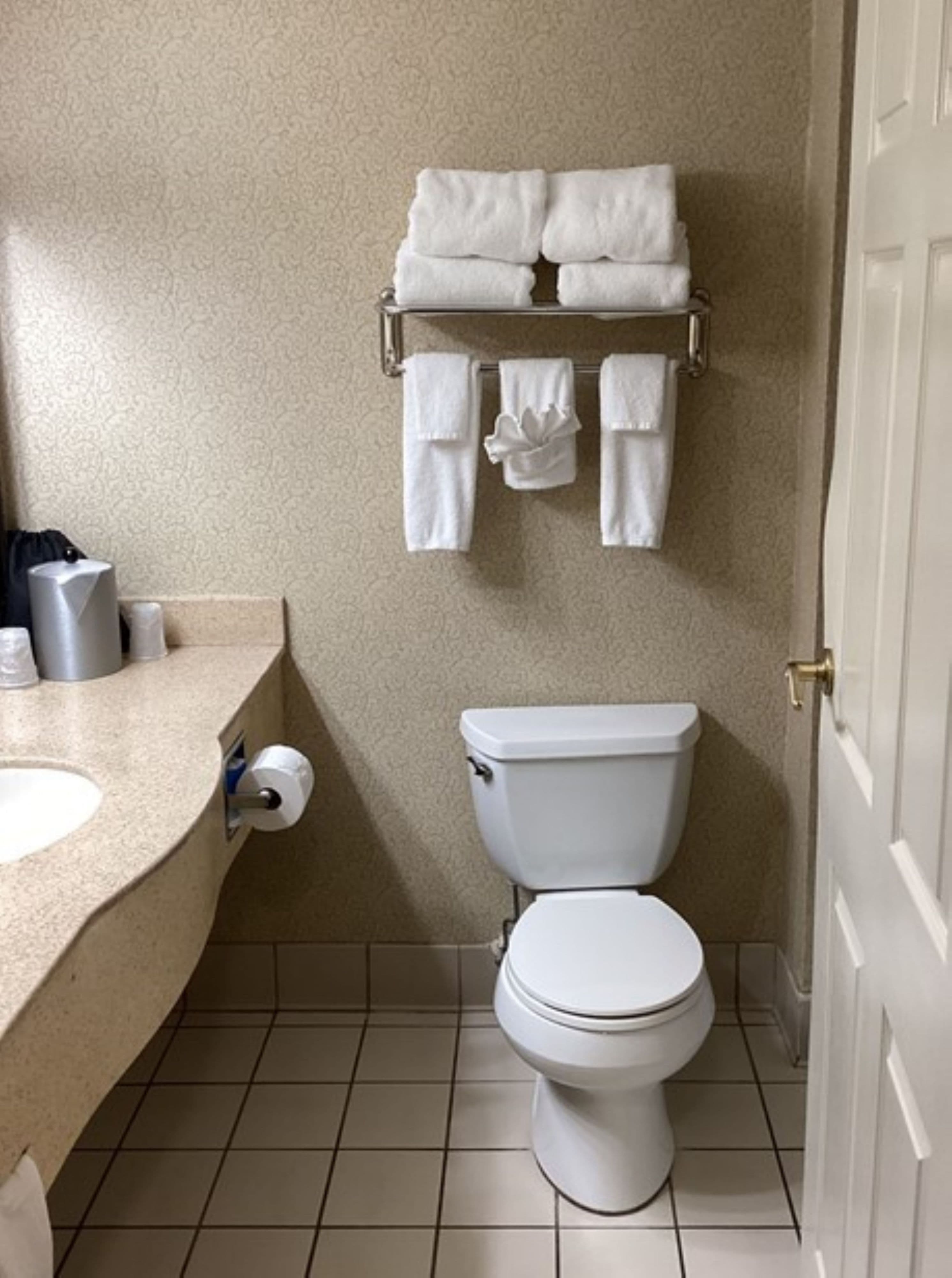 Holiday Inn Vicksburg - Image 5