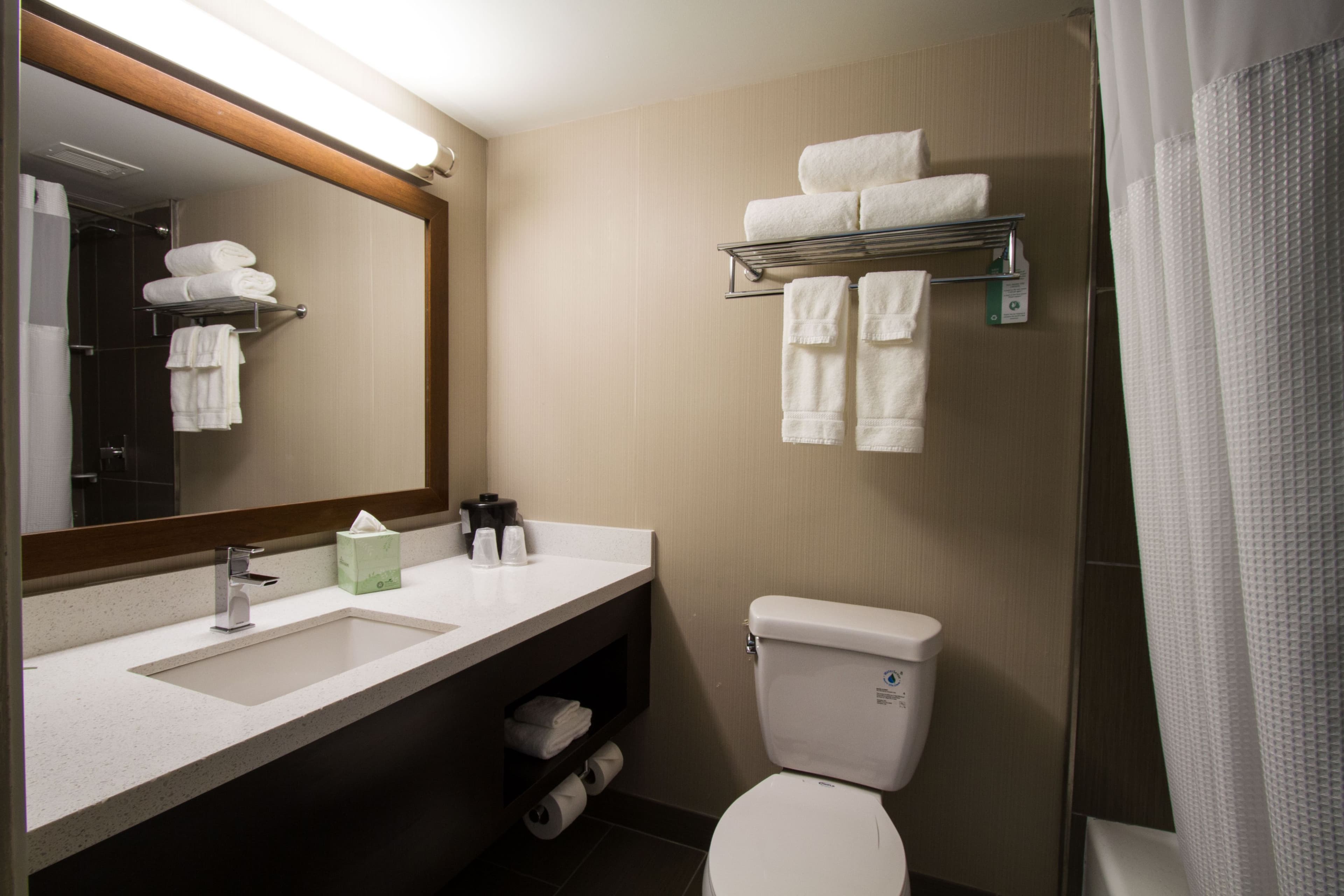Holiday Inn Victorville — 6