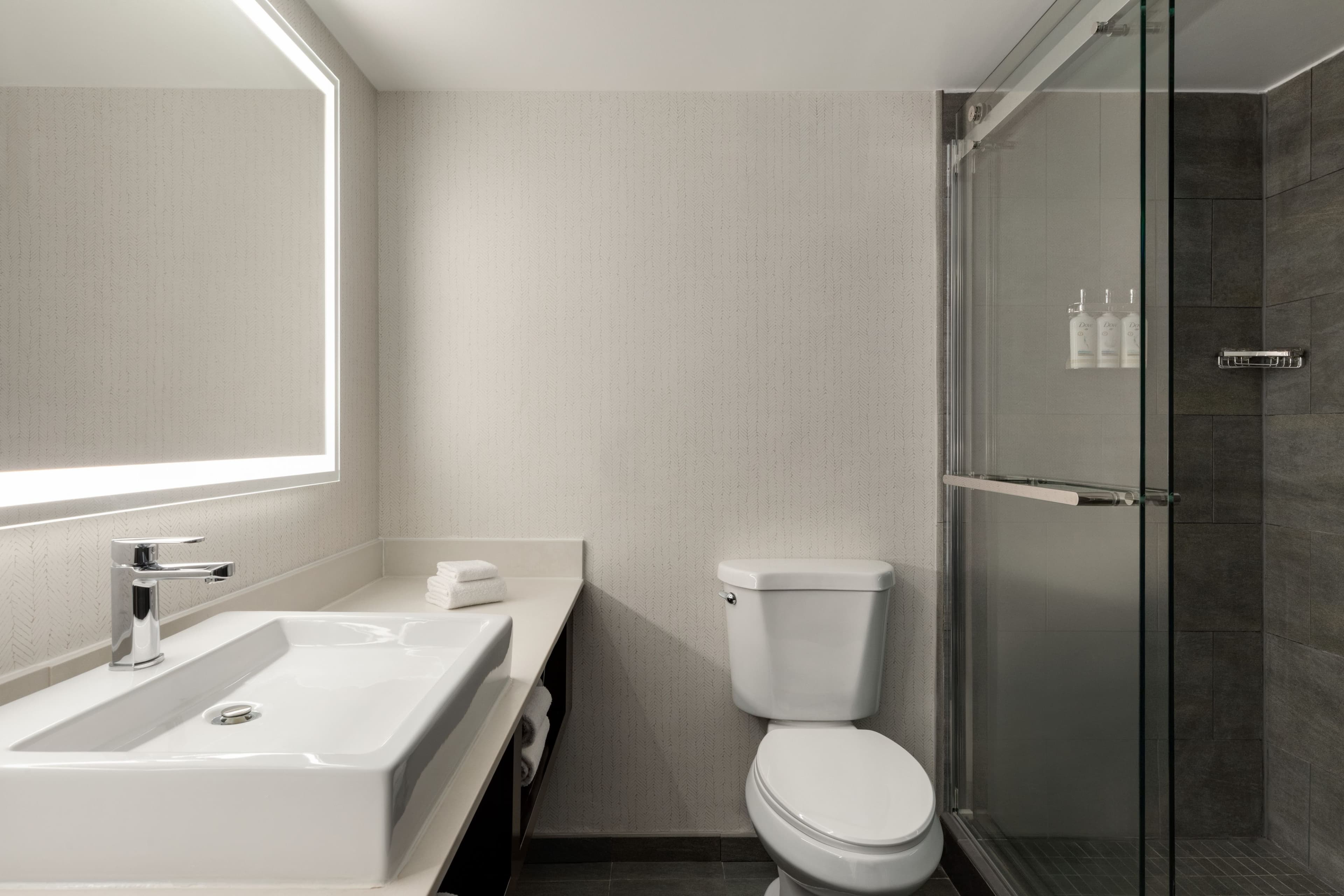 Holiday Inn Virginia Beach - Norfolk — 4