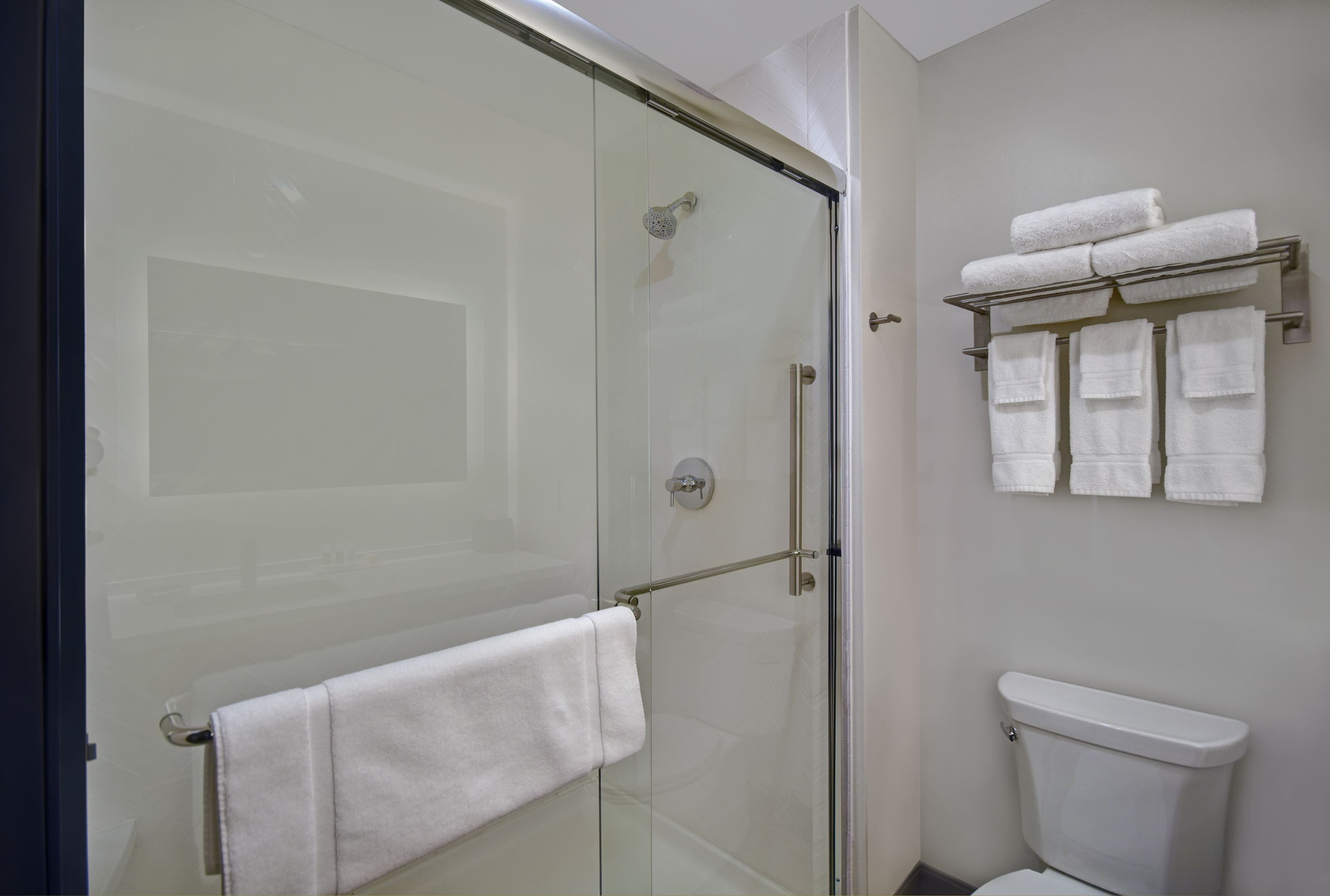 Holiday Inn Grand Rapids North - Walker — 7