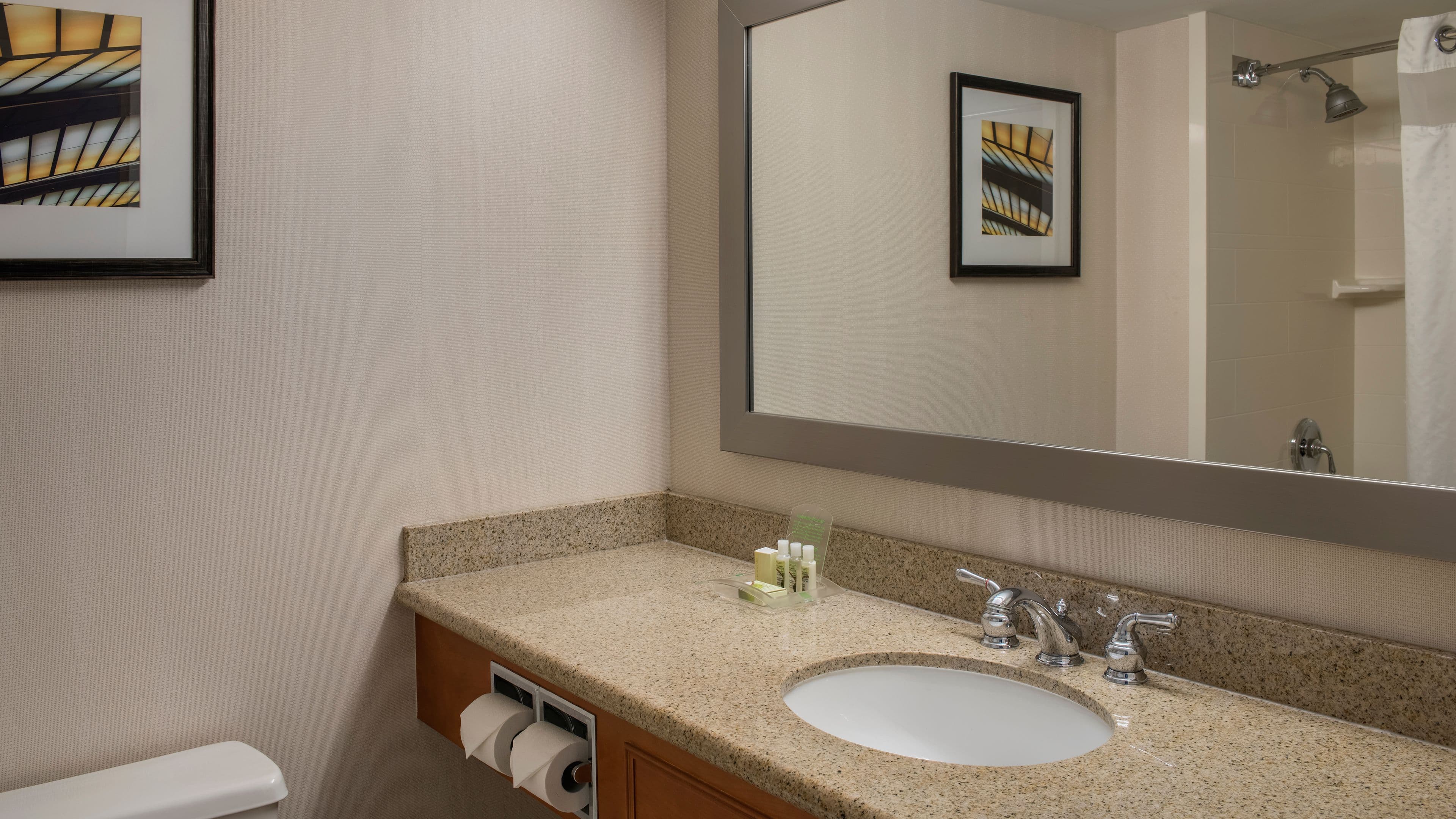 Holiday Inn Winnipeg-South — 7
