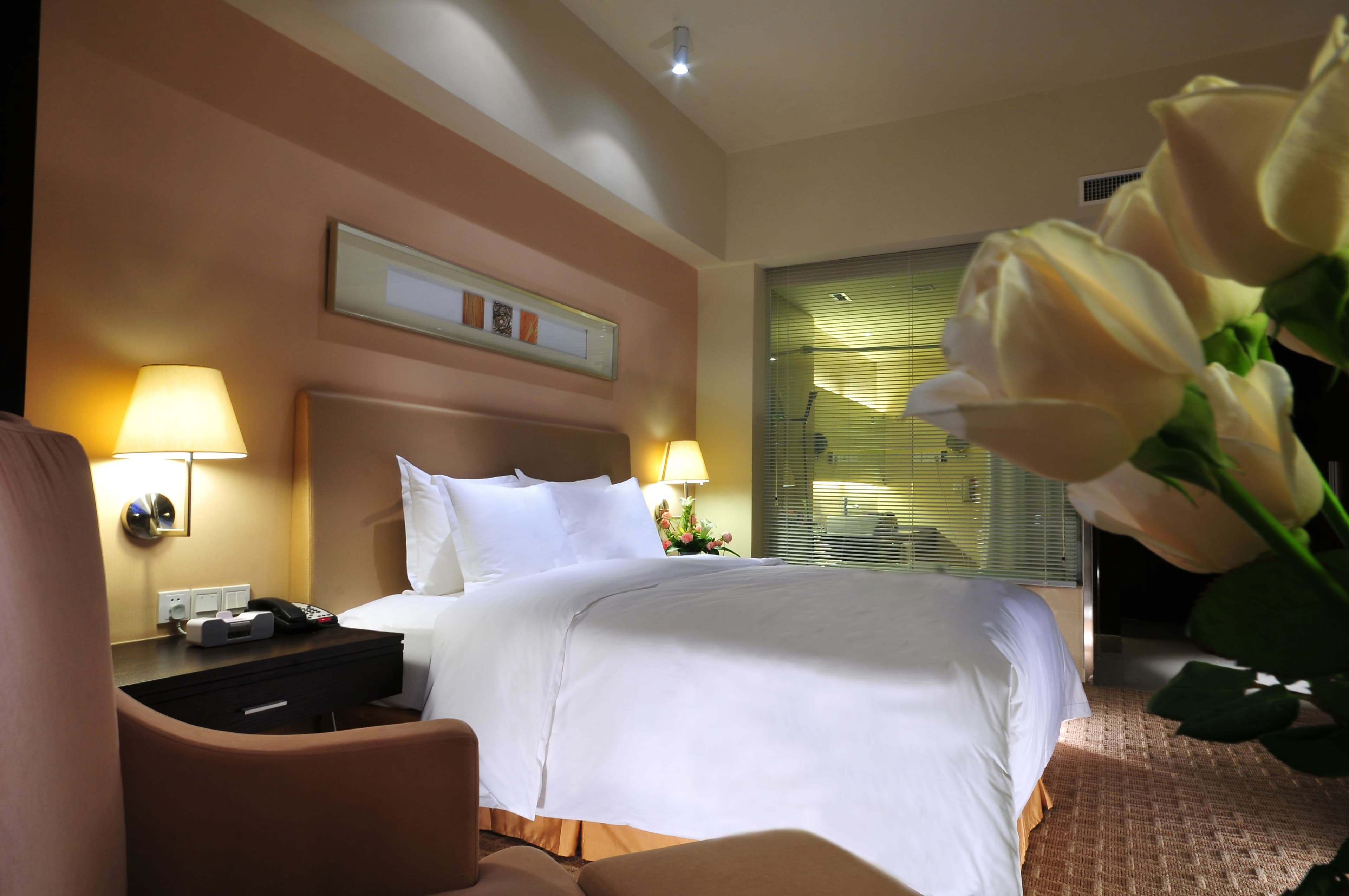 Holiday Inn Xi'an High-tech Central — 8