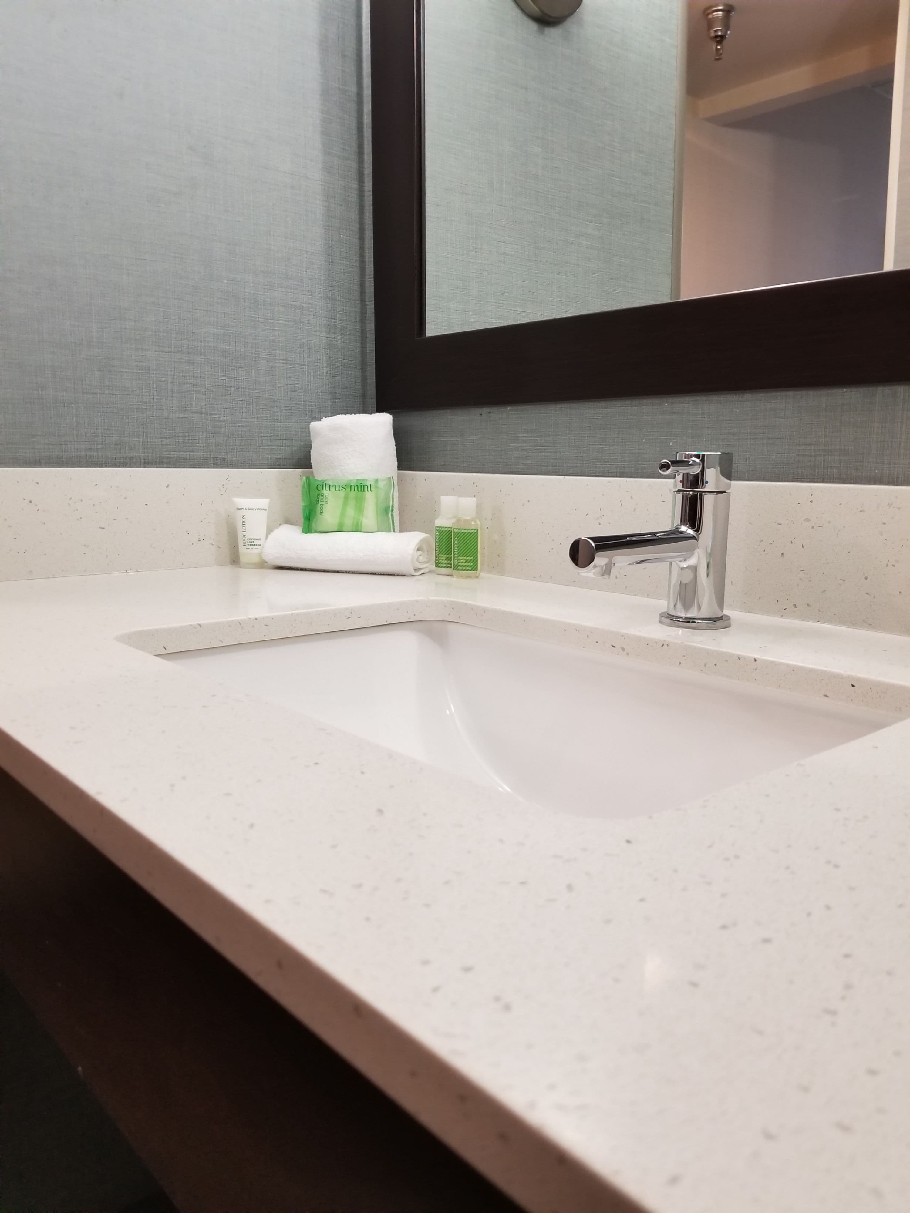 Holiday Inn Youngstown-South (Boardman) - Image 4