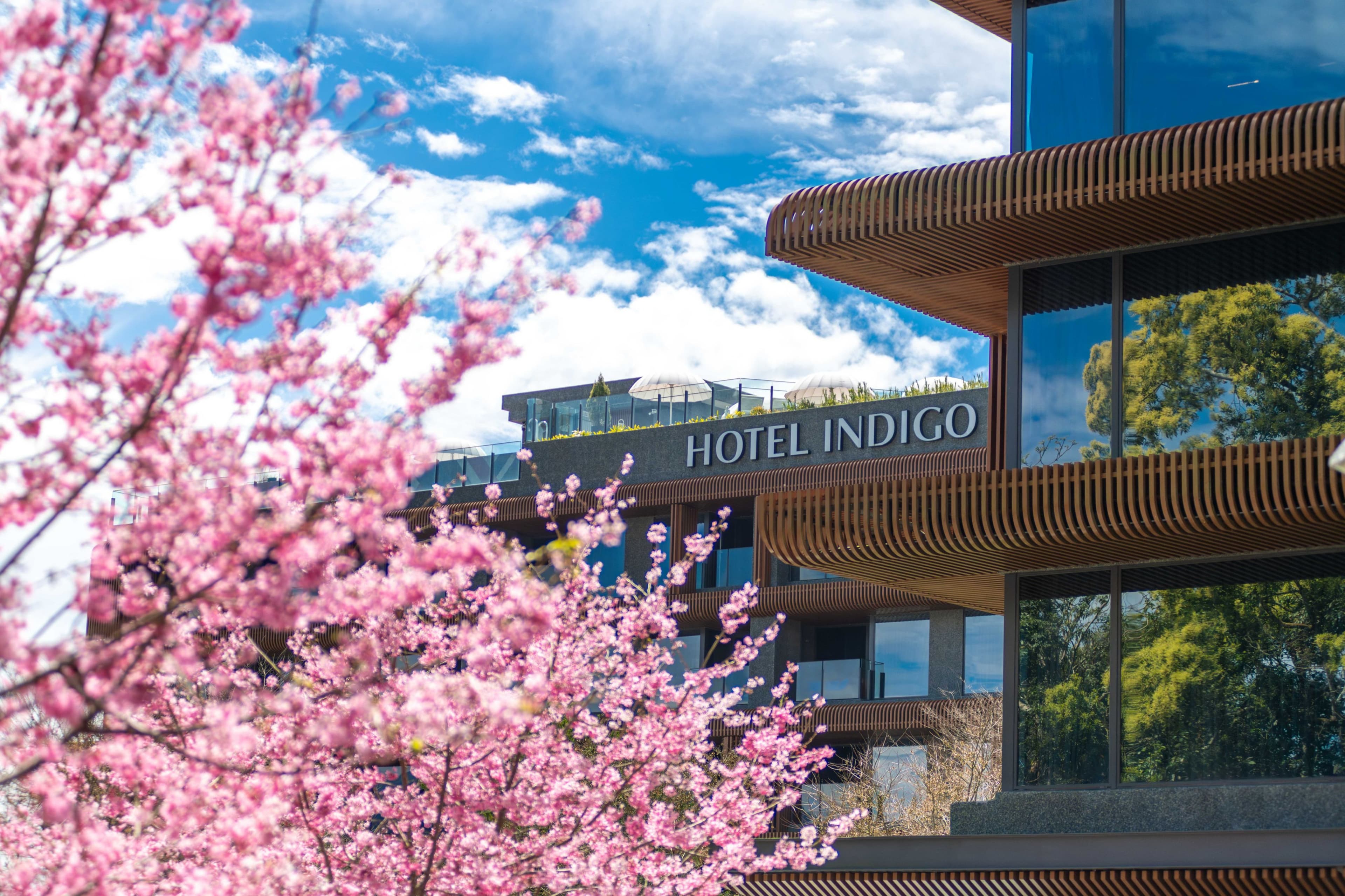 Hotel Indigo Alishan - Image 1