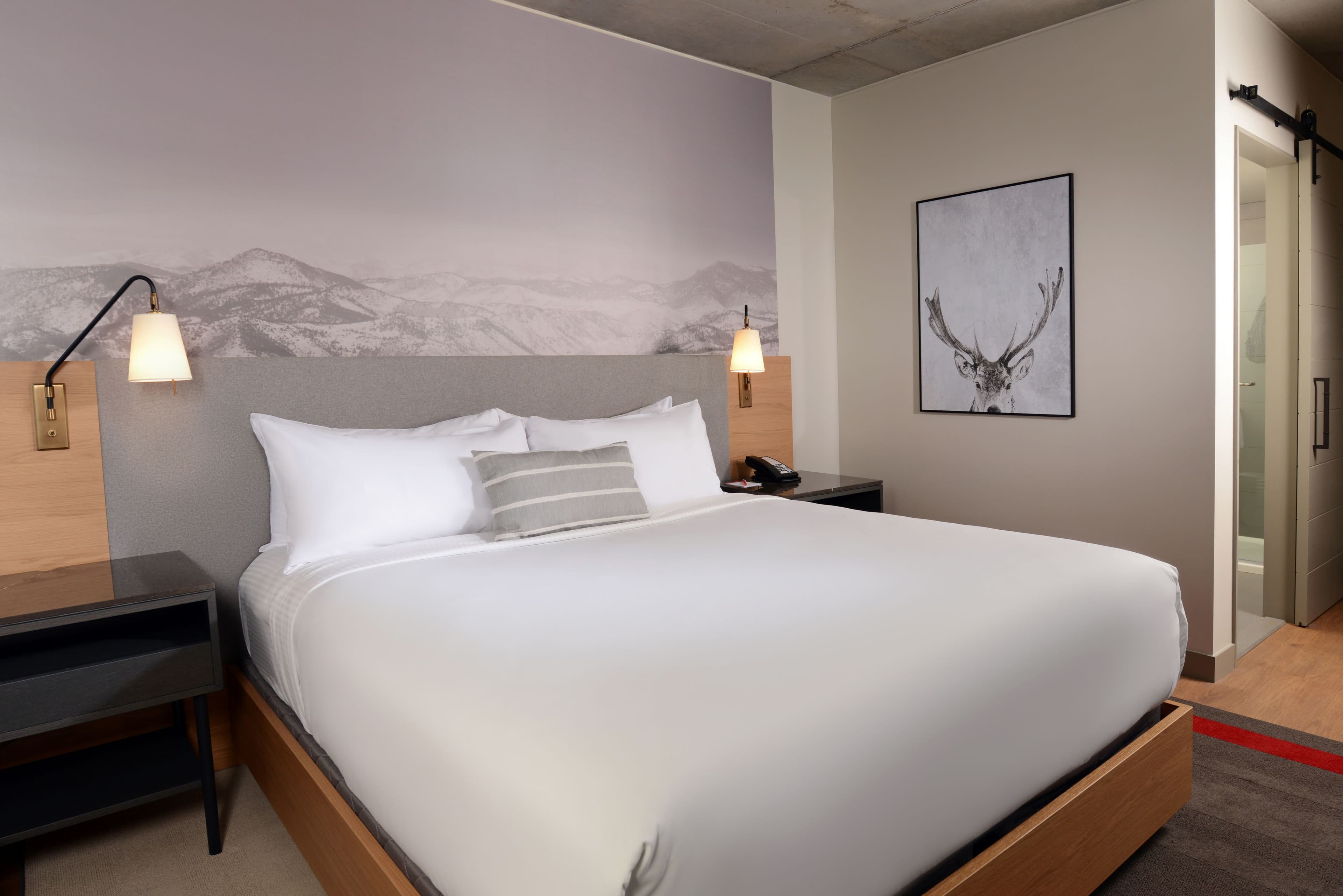 Hotel Indigo Denver Downtown-Union Station - Image 3