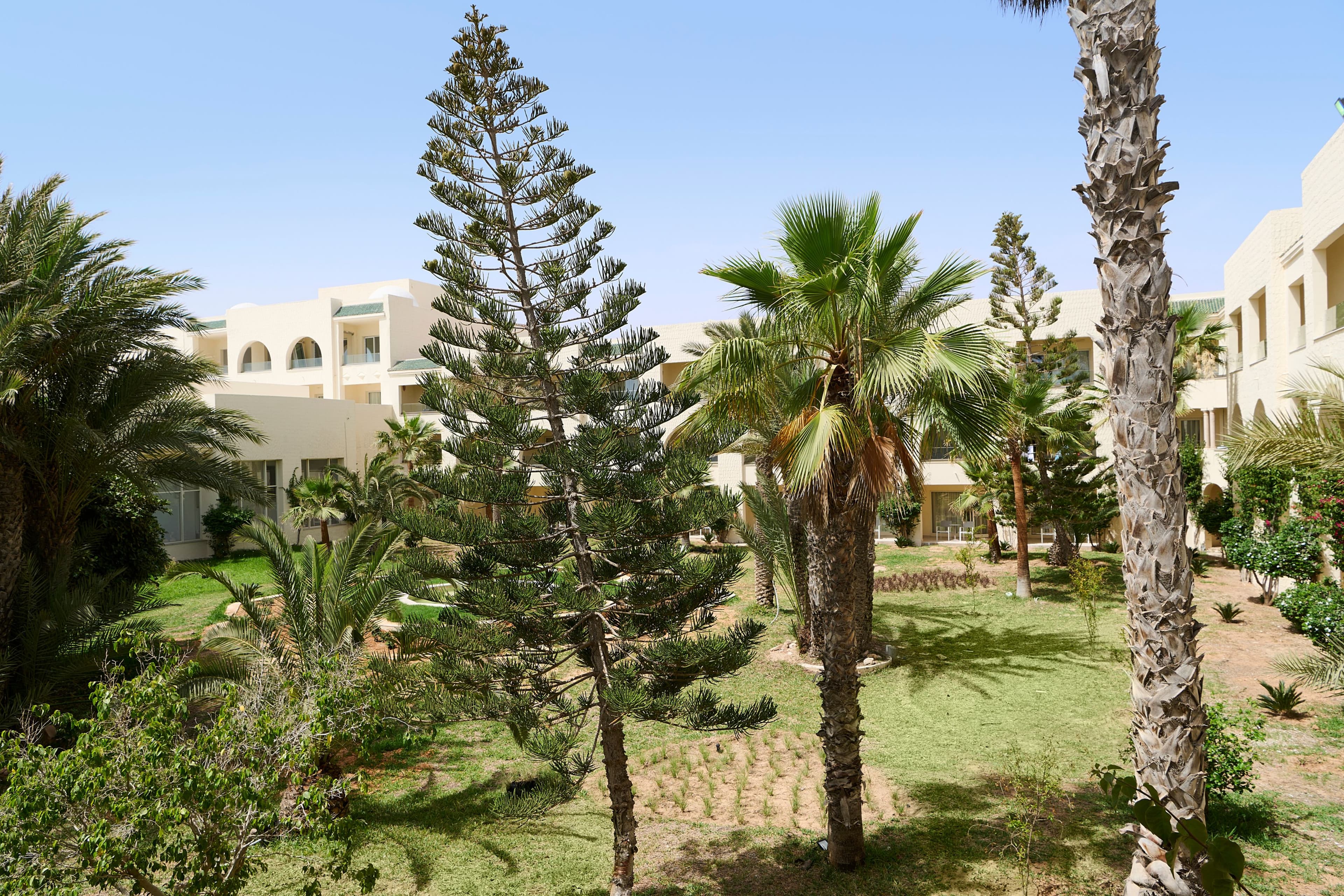 Iberostar Selection​ Eolia Djerba — 11
