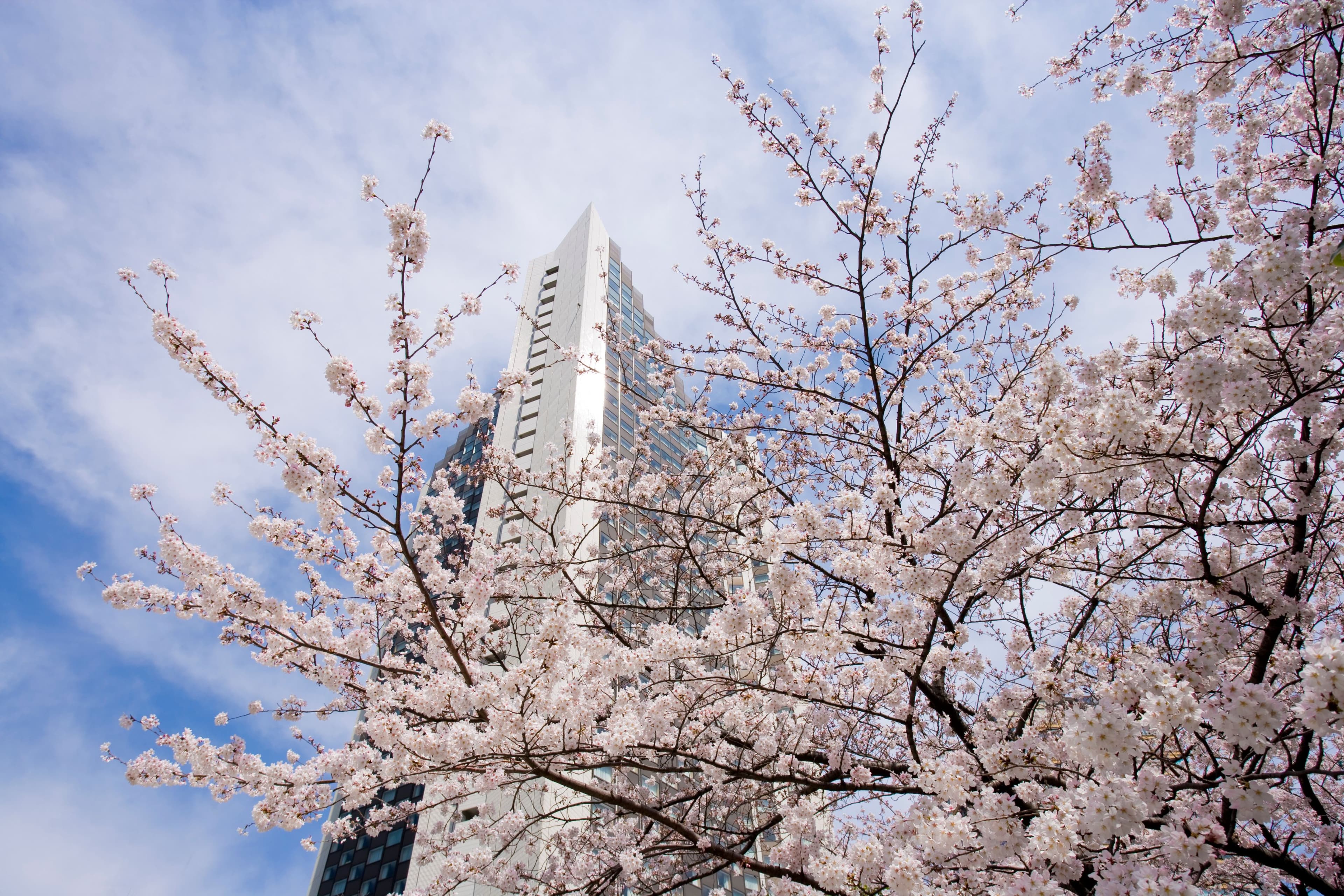 ANA InterContinental Tokyo - Image 1