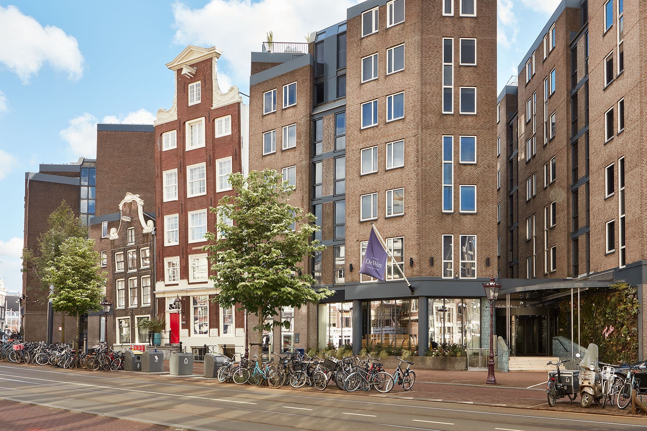 Kimpton De Witt - Image 1