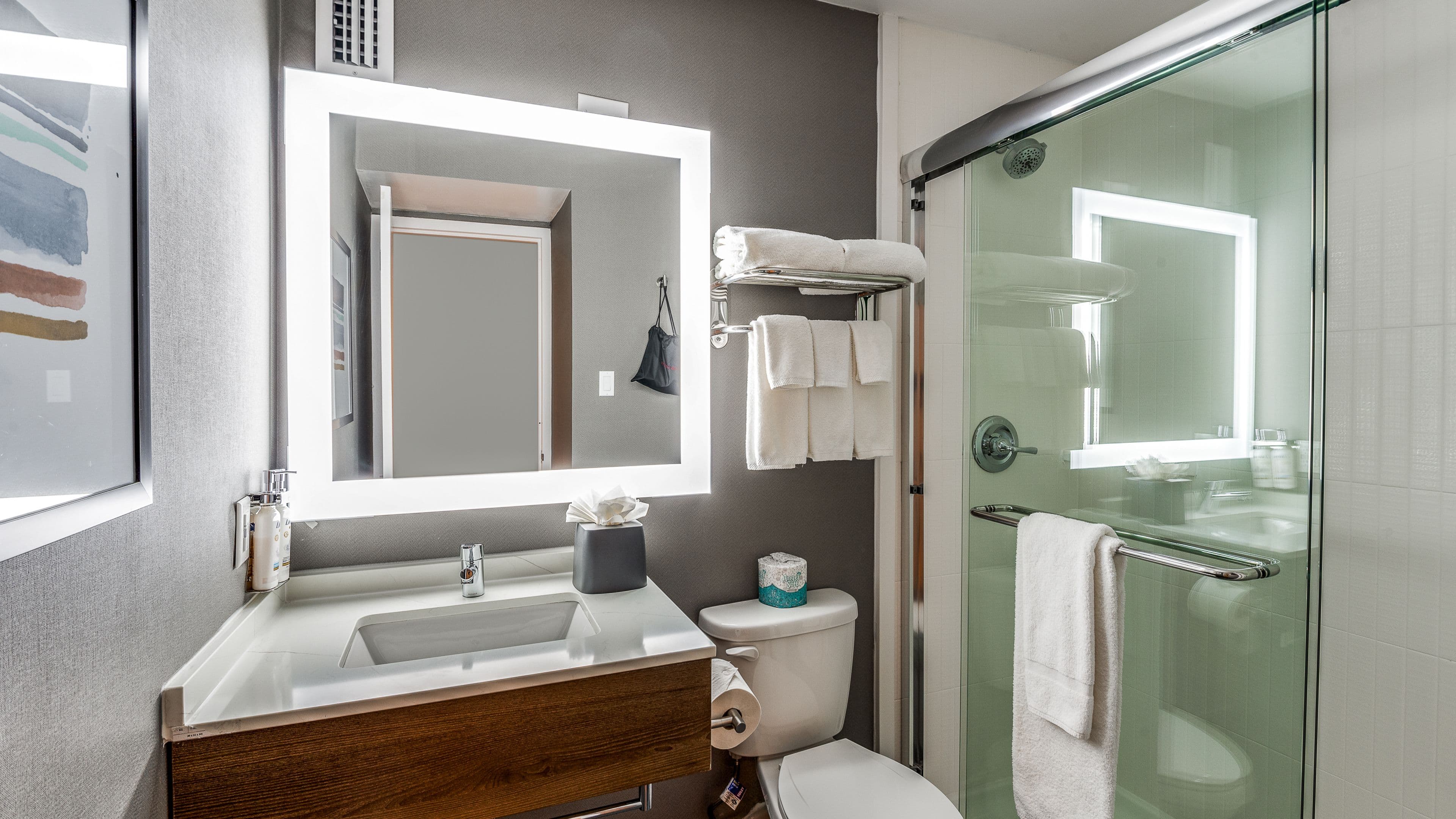 Staybridge Suites Dallas Market Ctr Love Field — 3
