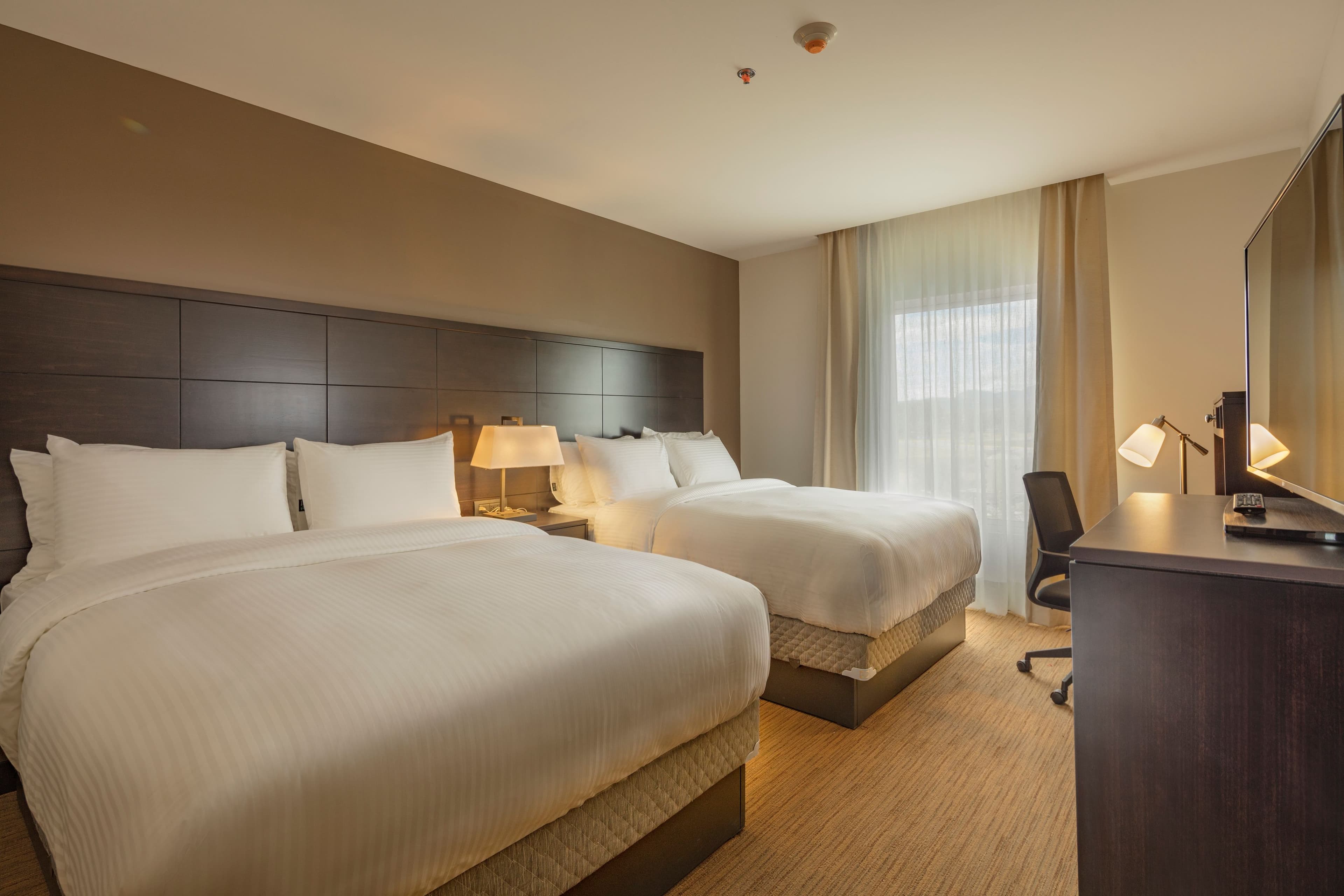 Staybridge Suites Saltillo — 7