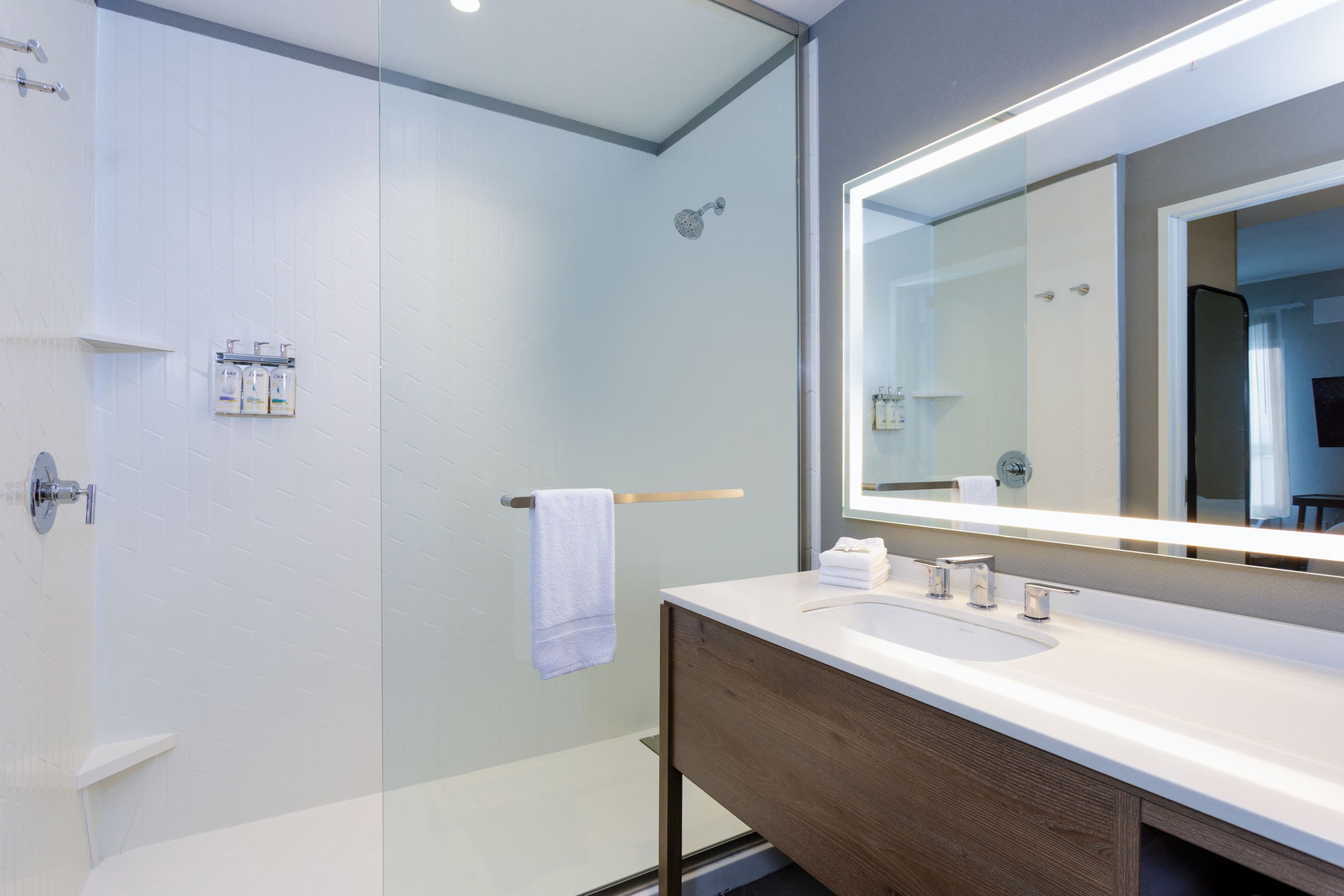 Standard Suite - Image 6