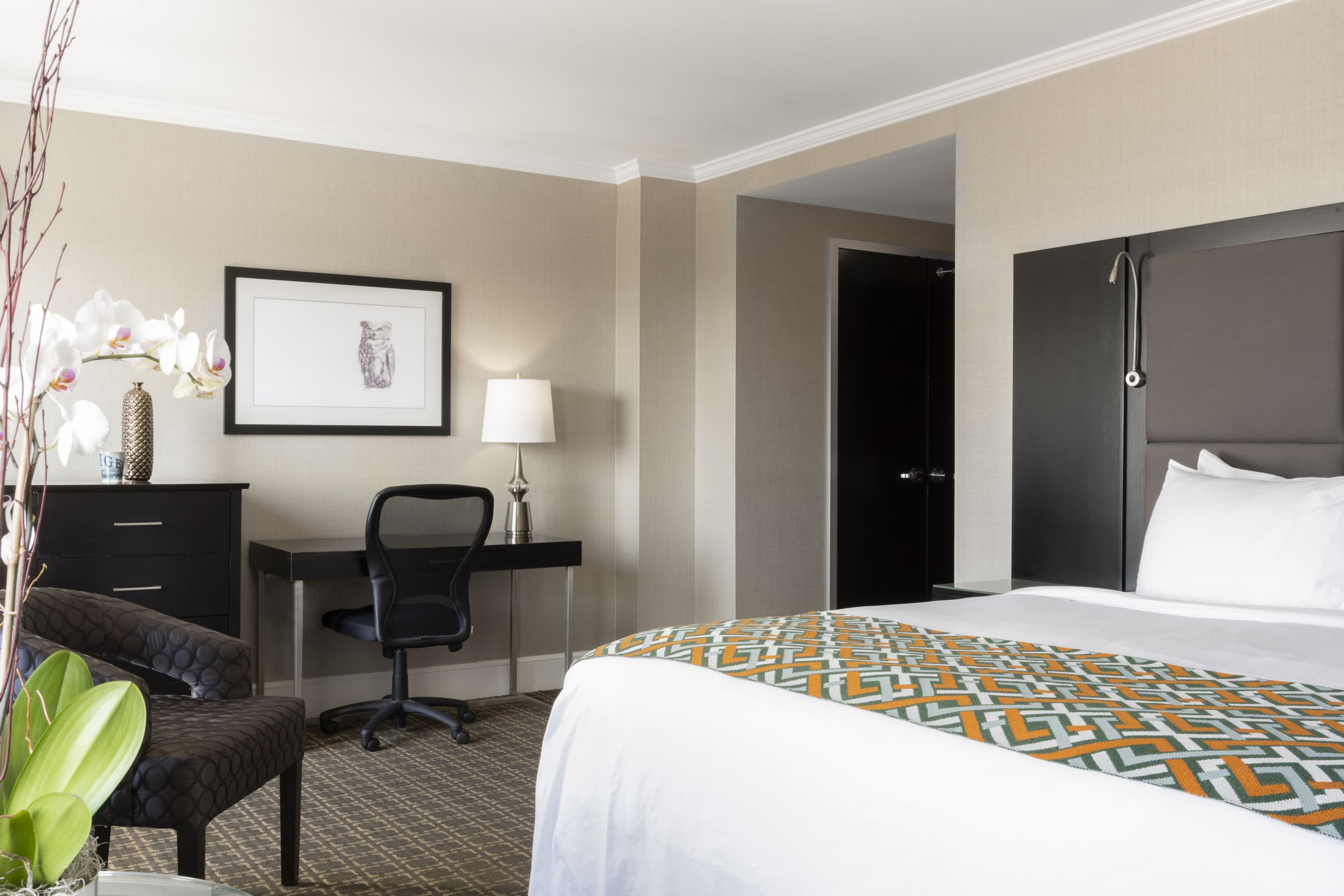1 King Standard - Image 1