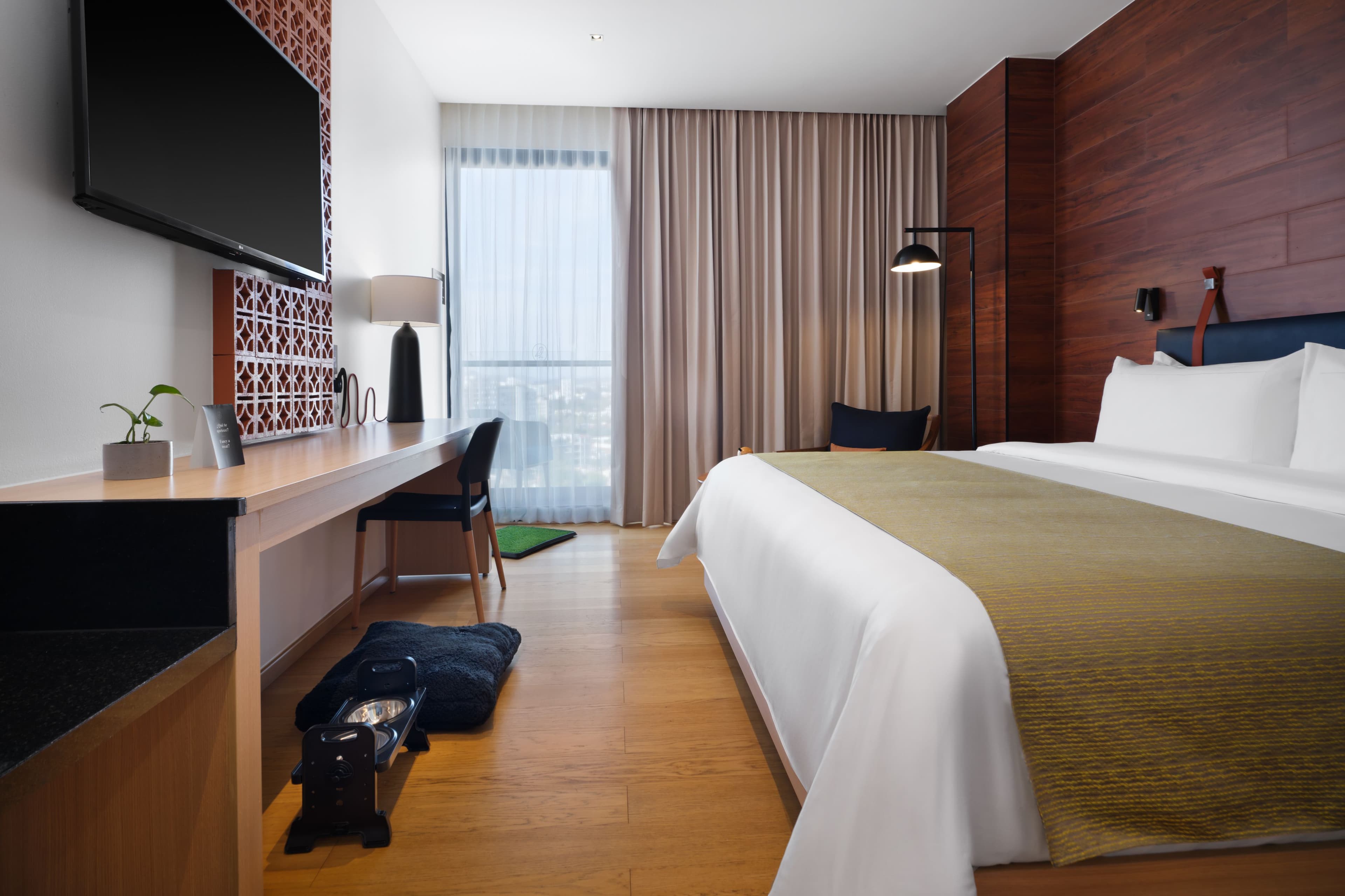 Standard Room - Image 2