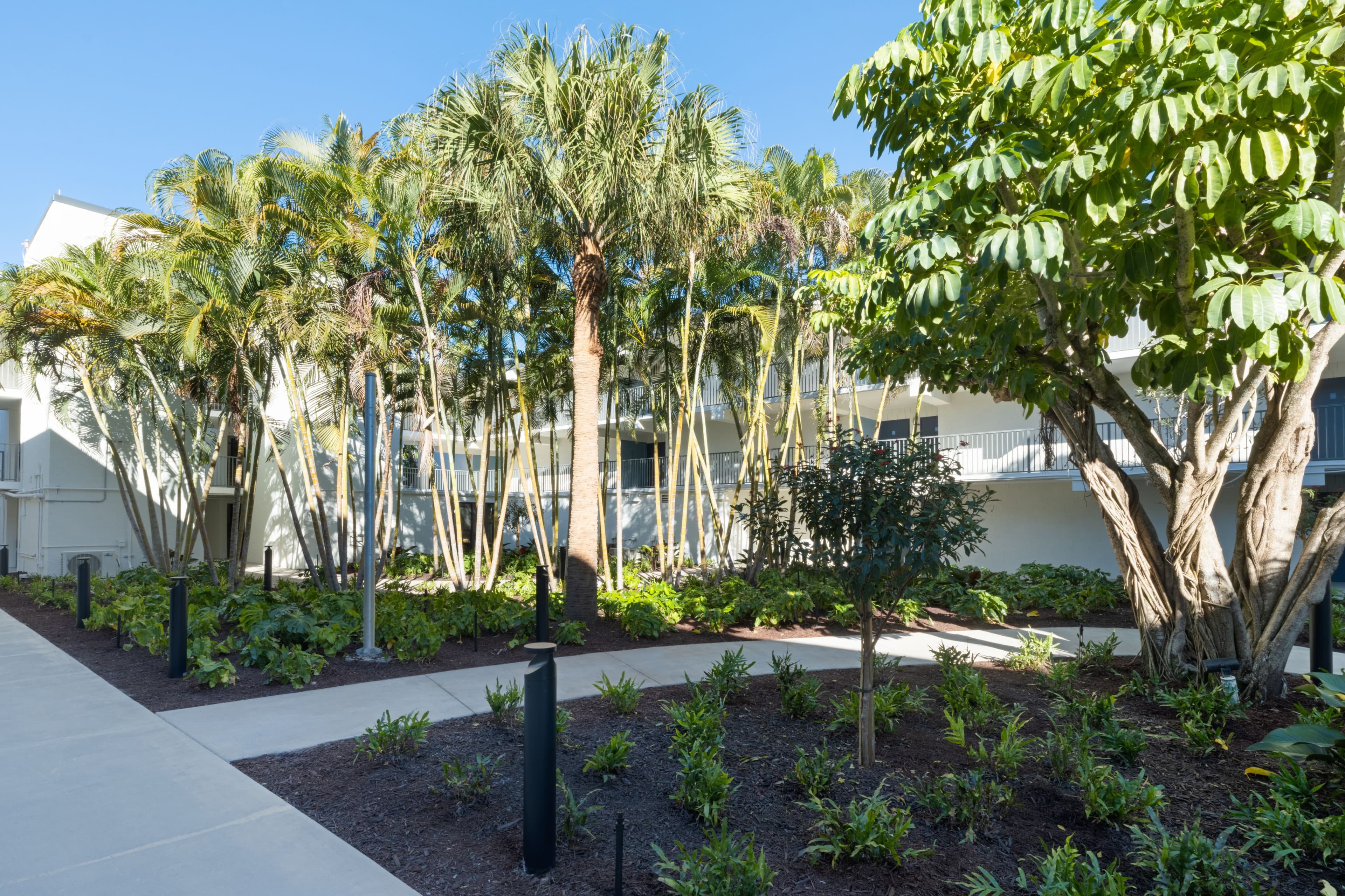 All-Inclusive 1 King Standard Garden View - Image 2