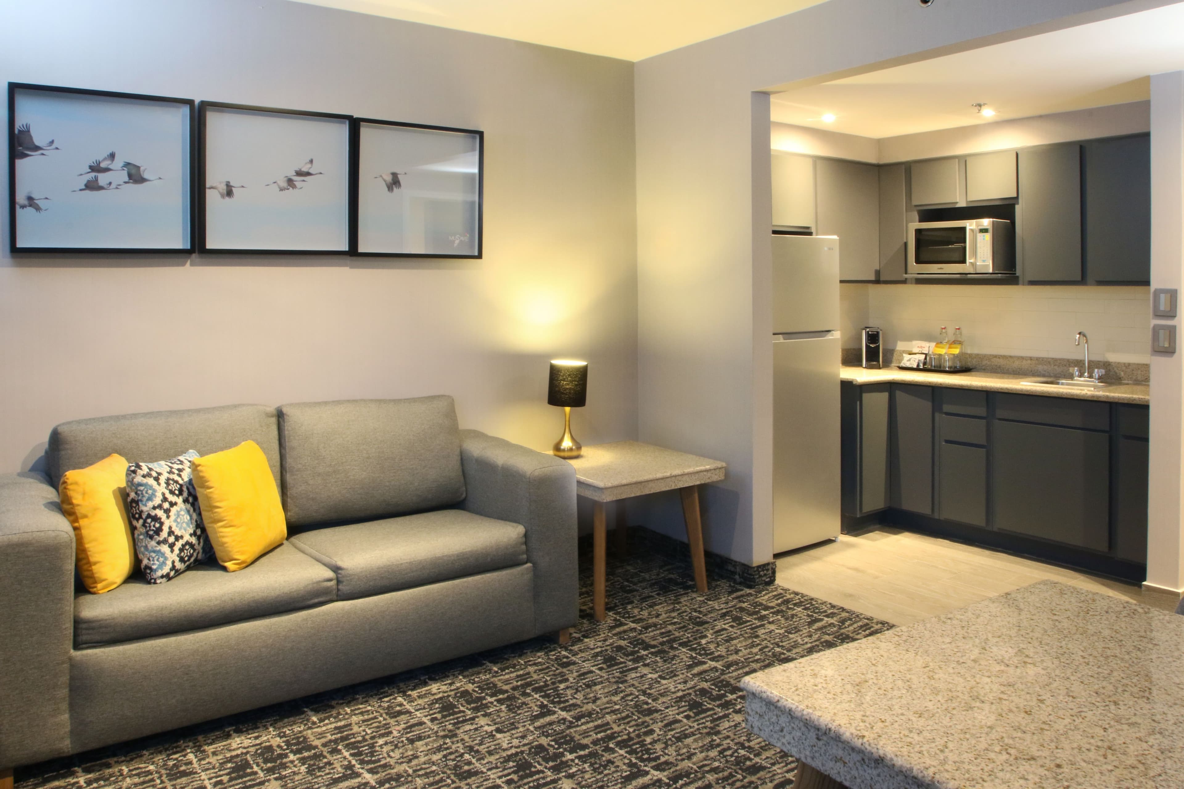 voco Saltillo Suites — 37