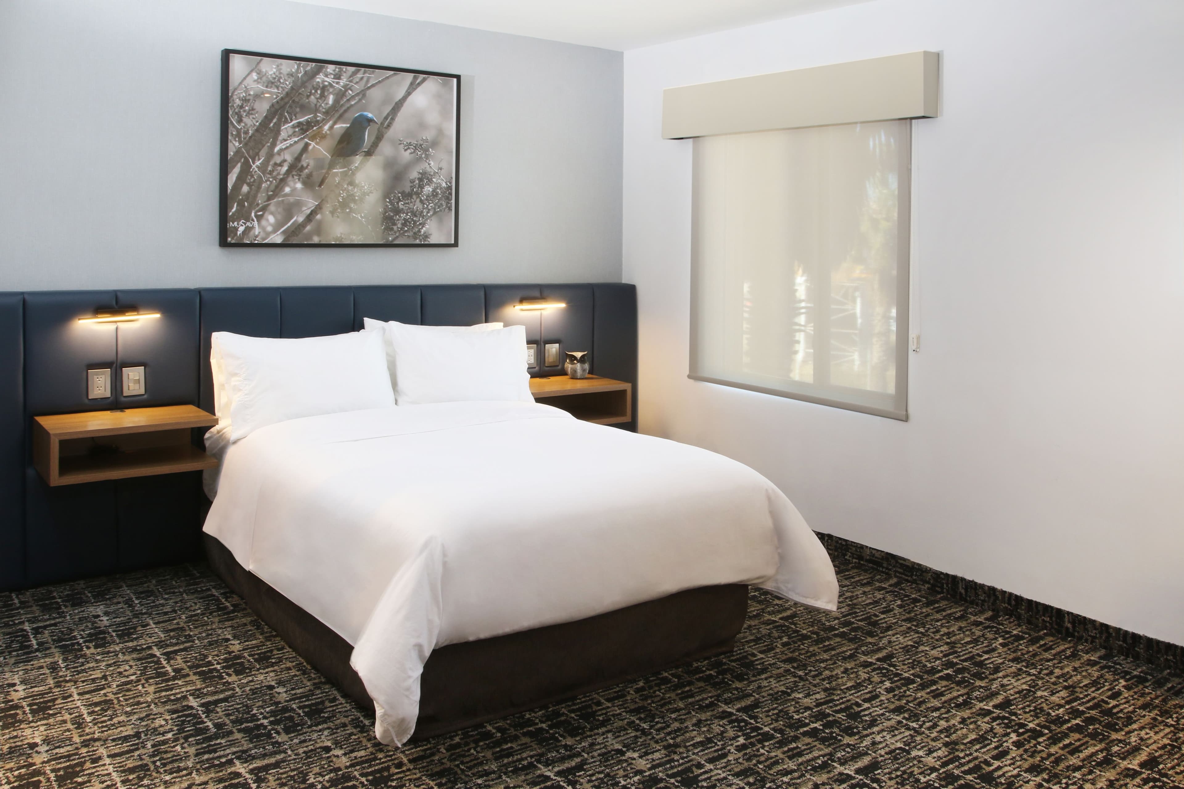 voco Saltillo Suites — 65