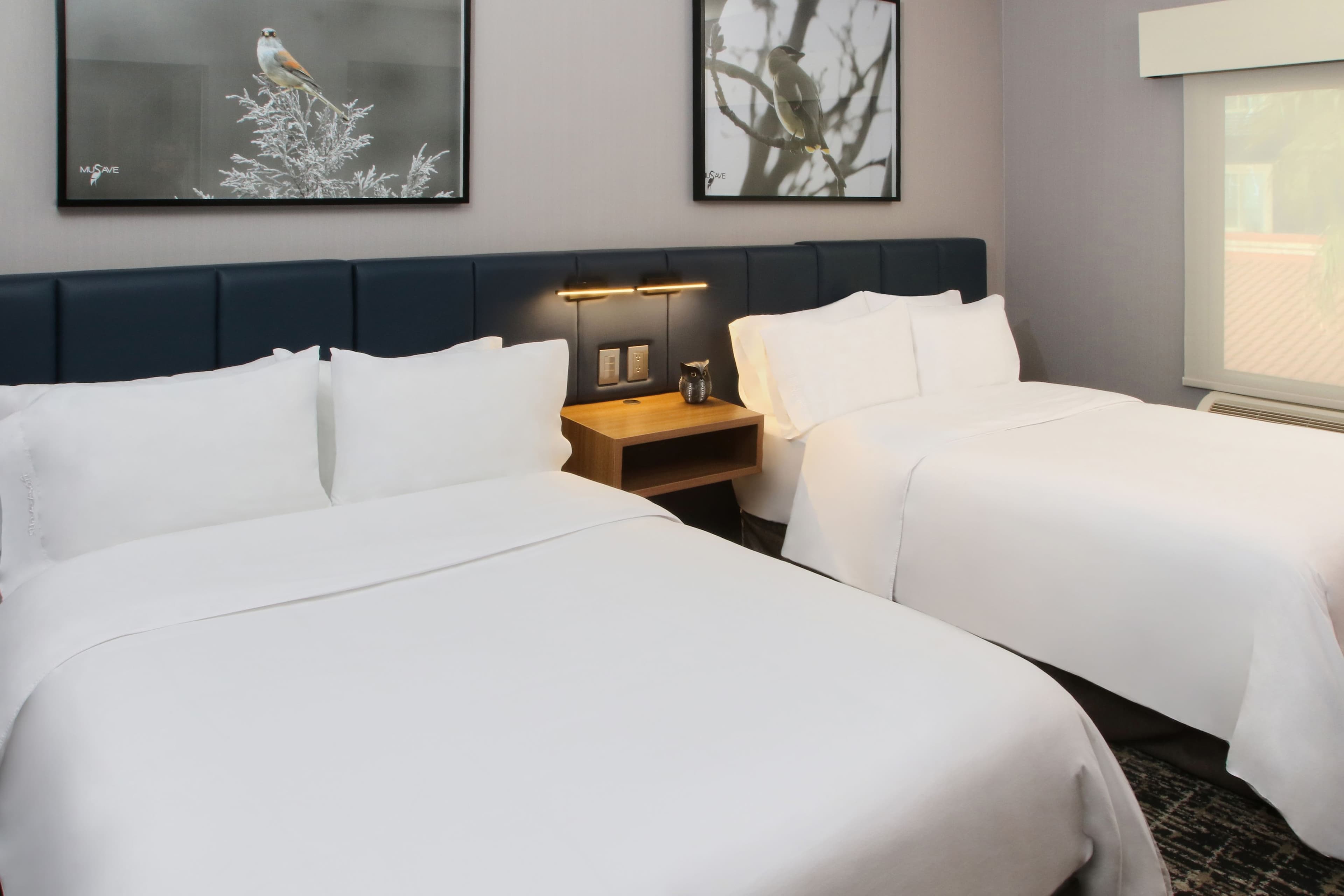 voco Saltillo Suites — 93