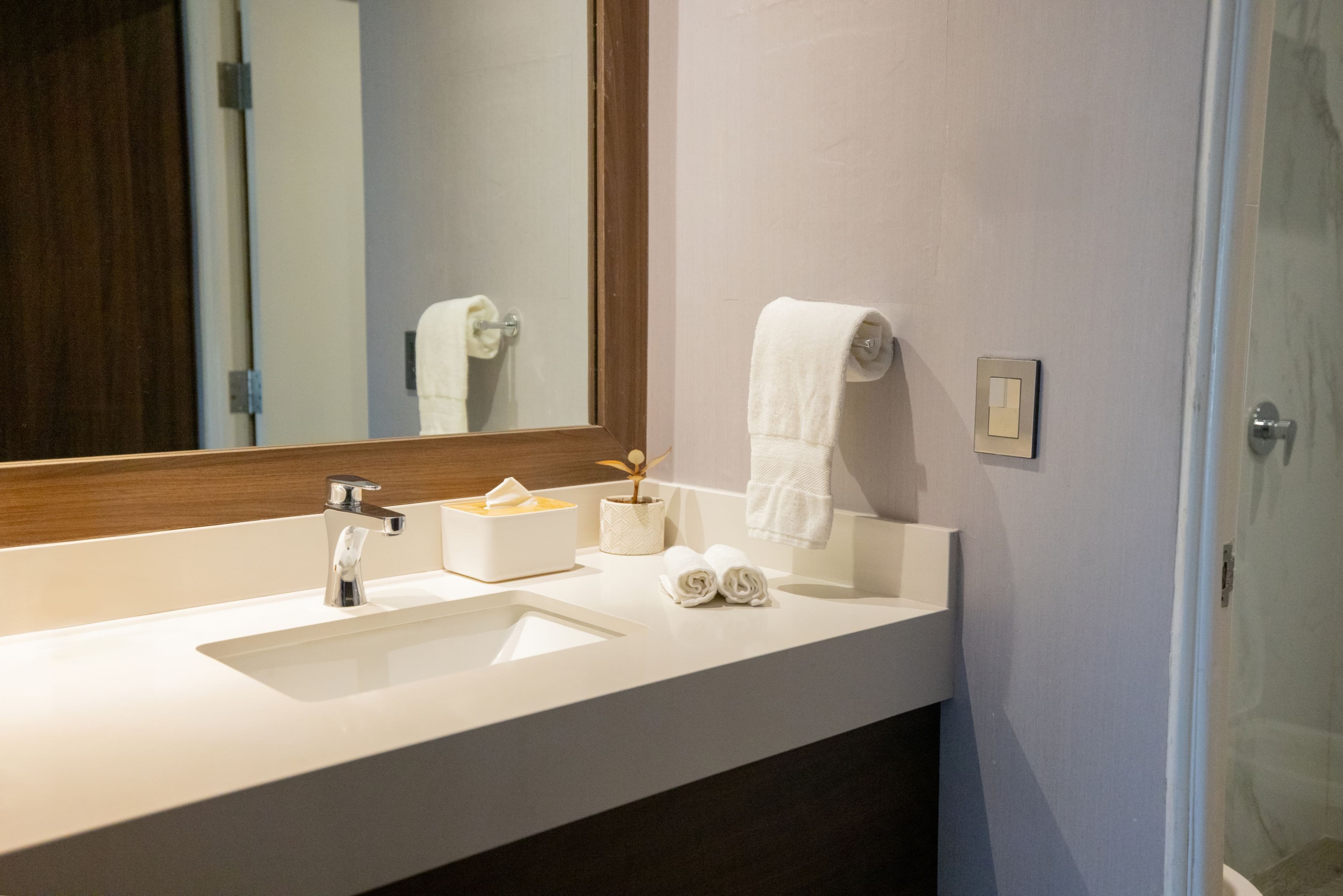 voco Saltillo Suites — 50