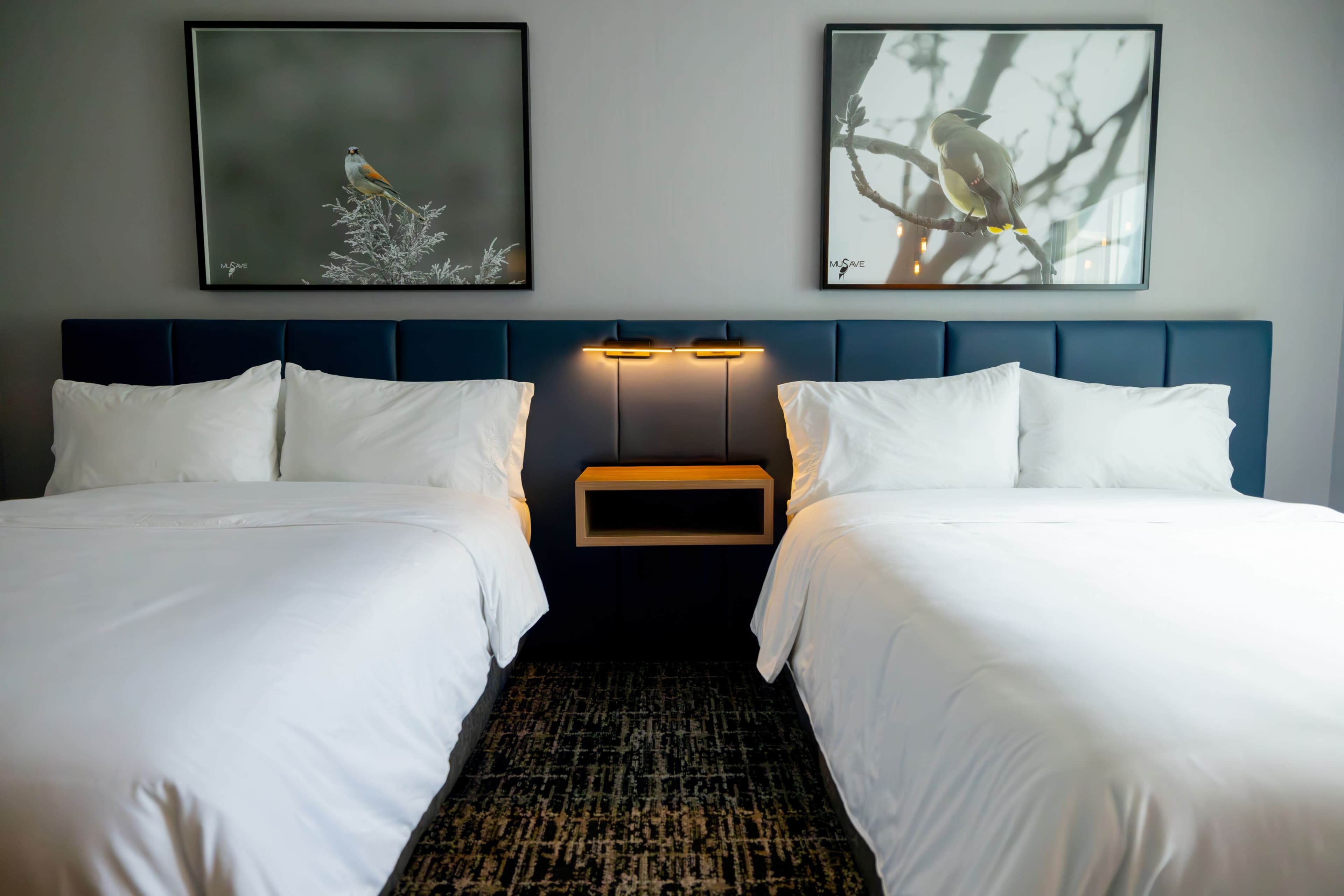 voco Saltillo Suites — 96
