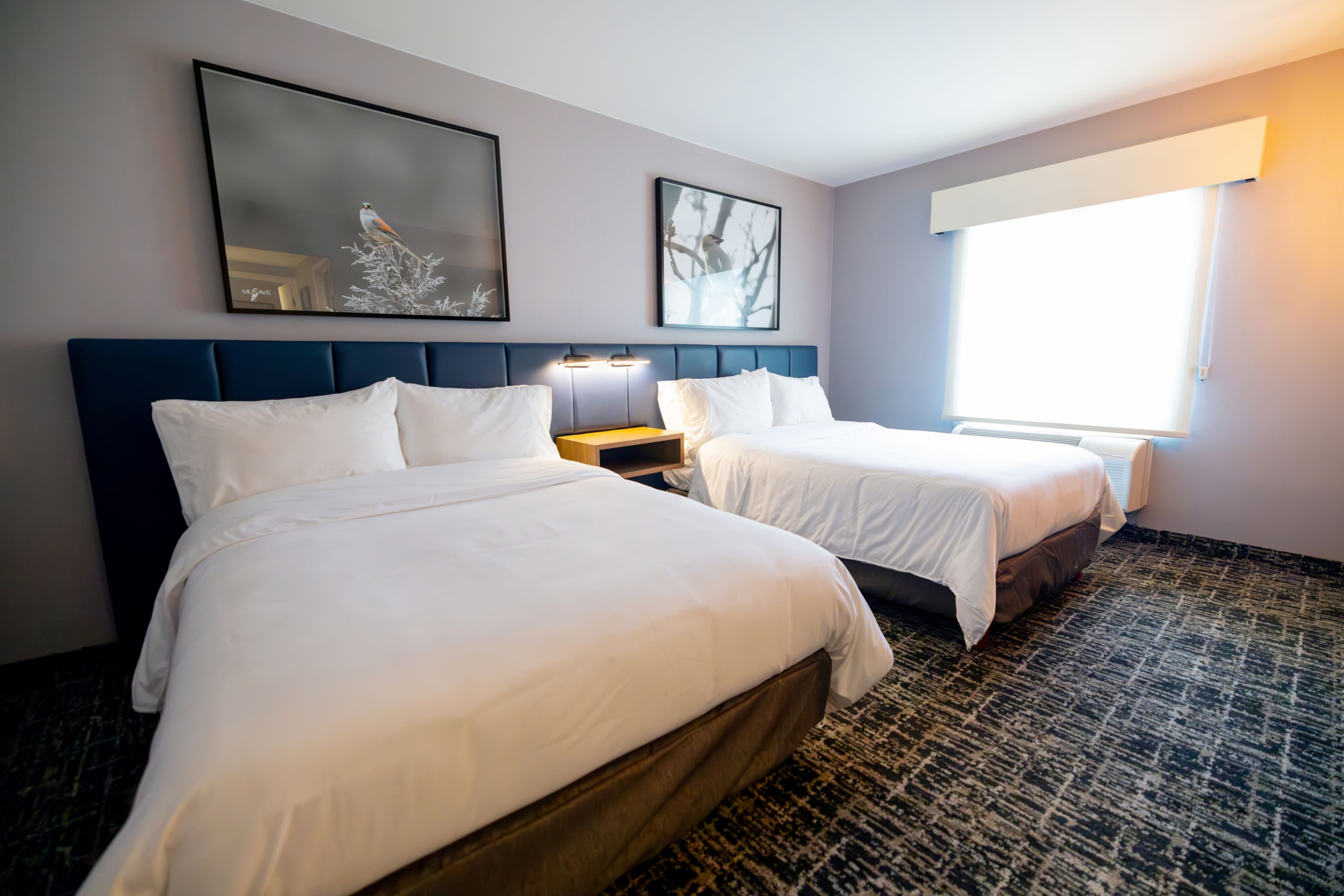 voco Saltillo Suites — 95