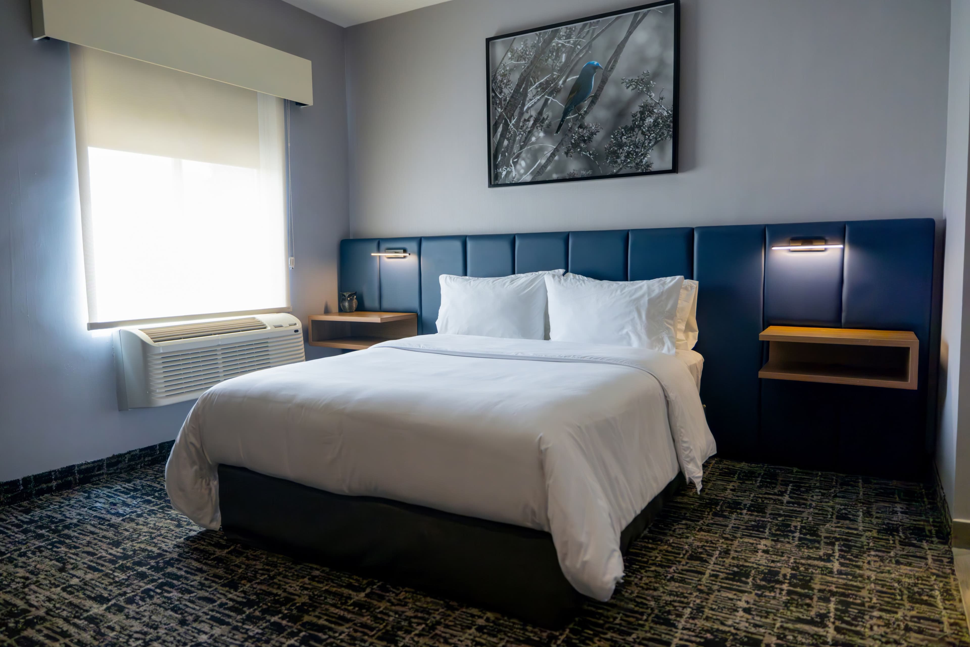 voco Saltillo Suites — 62