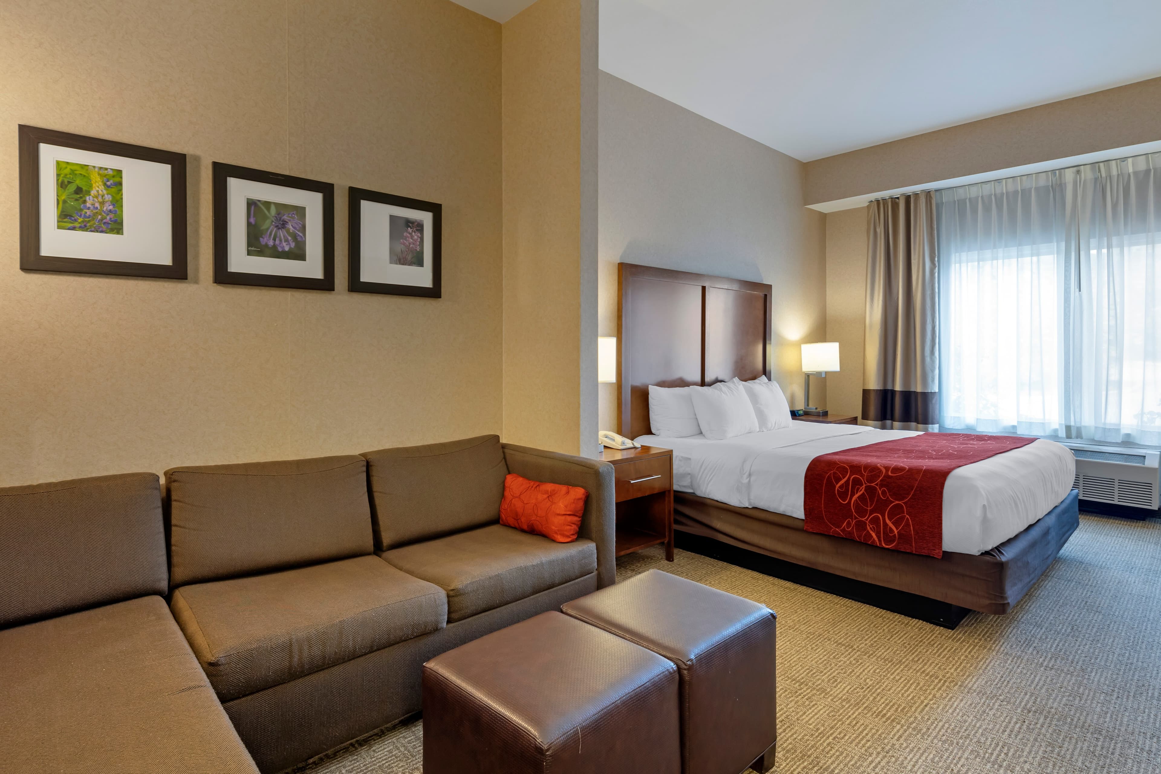 Comfort Suites Anchorage International Airport — 10