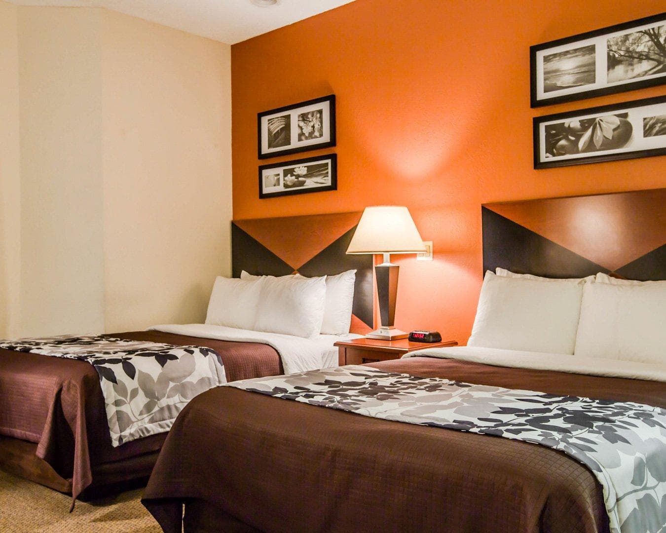 Sleep Inn Pelham Oak Mountain - Image 2