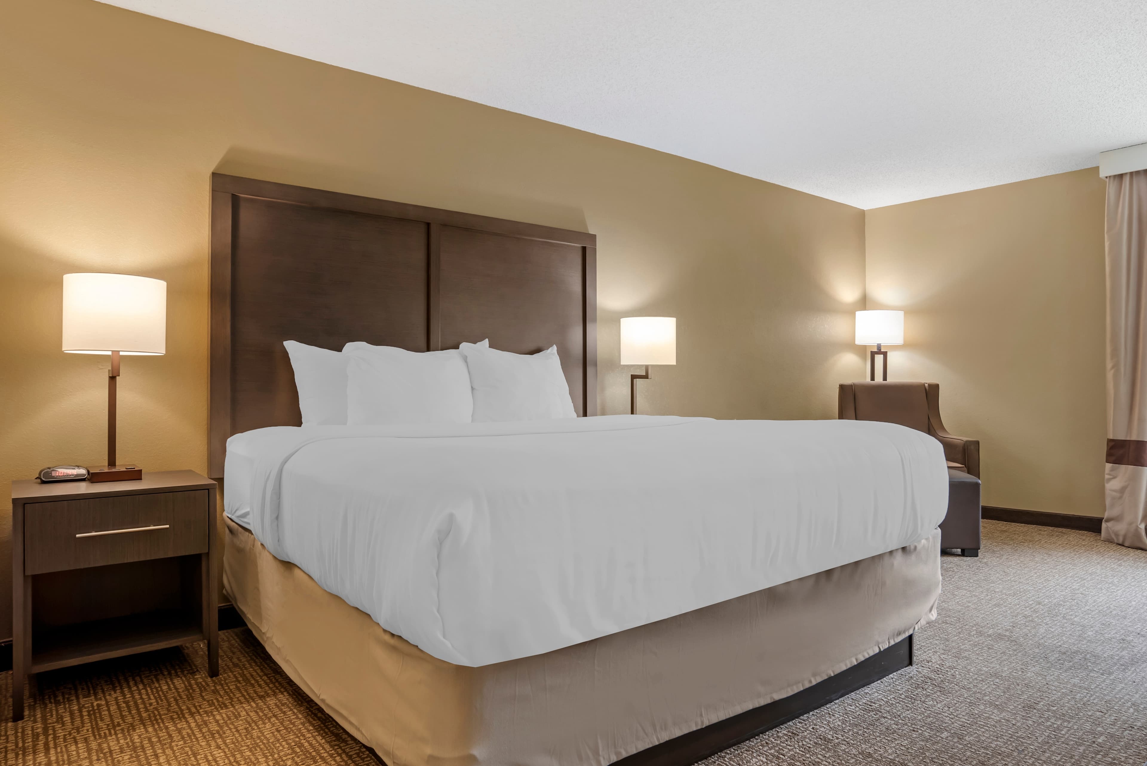 Comfort Inn Opelika - Auburn - Image 2