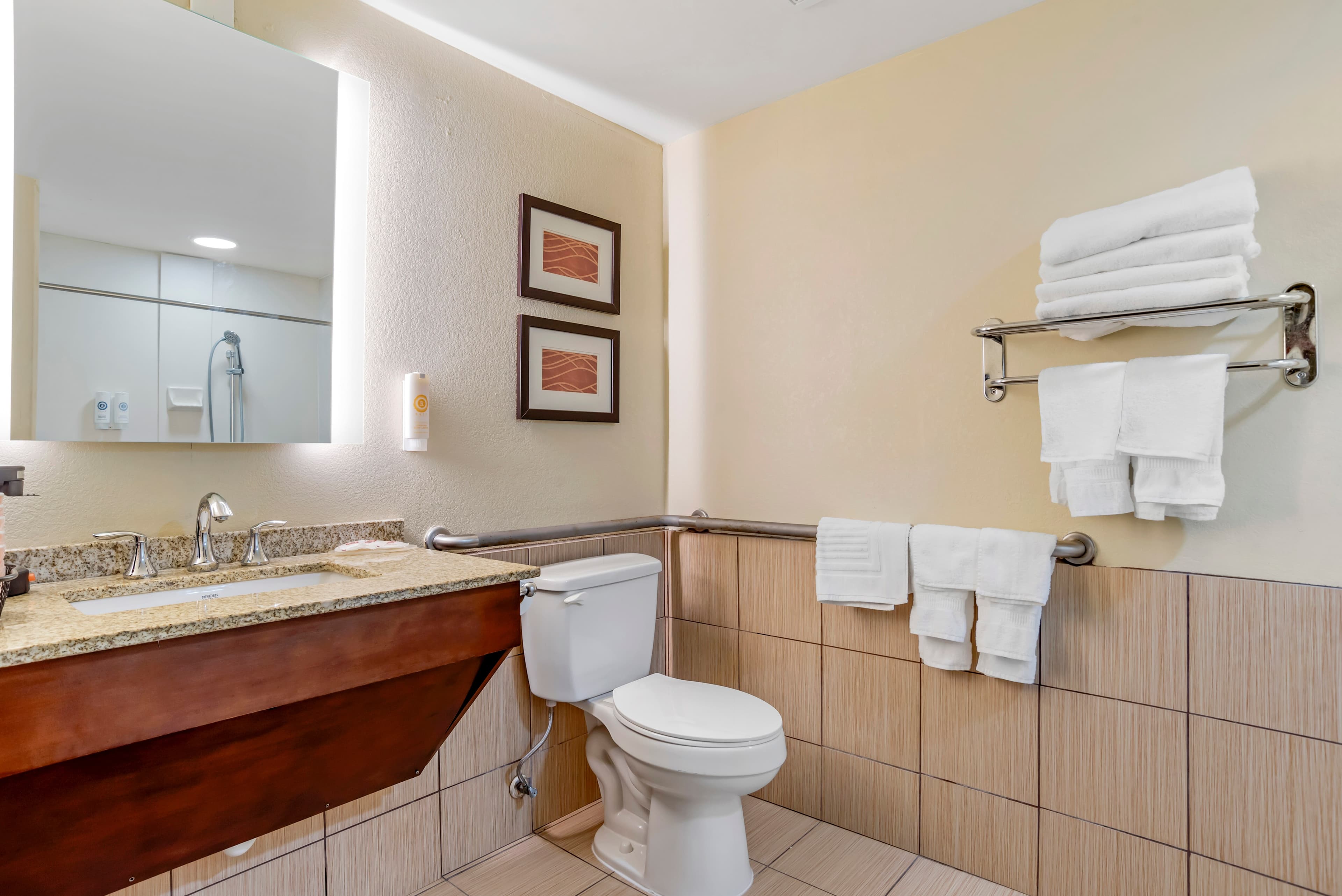 Comfort Inn Opelika - Auburn - Image 3
