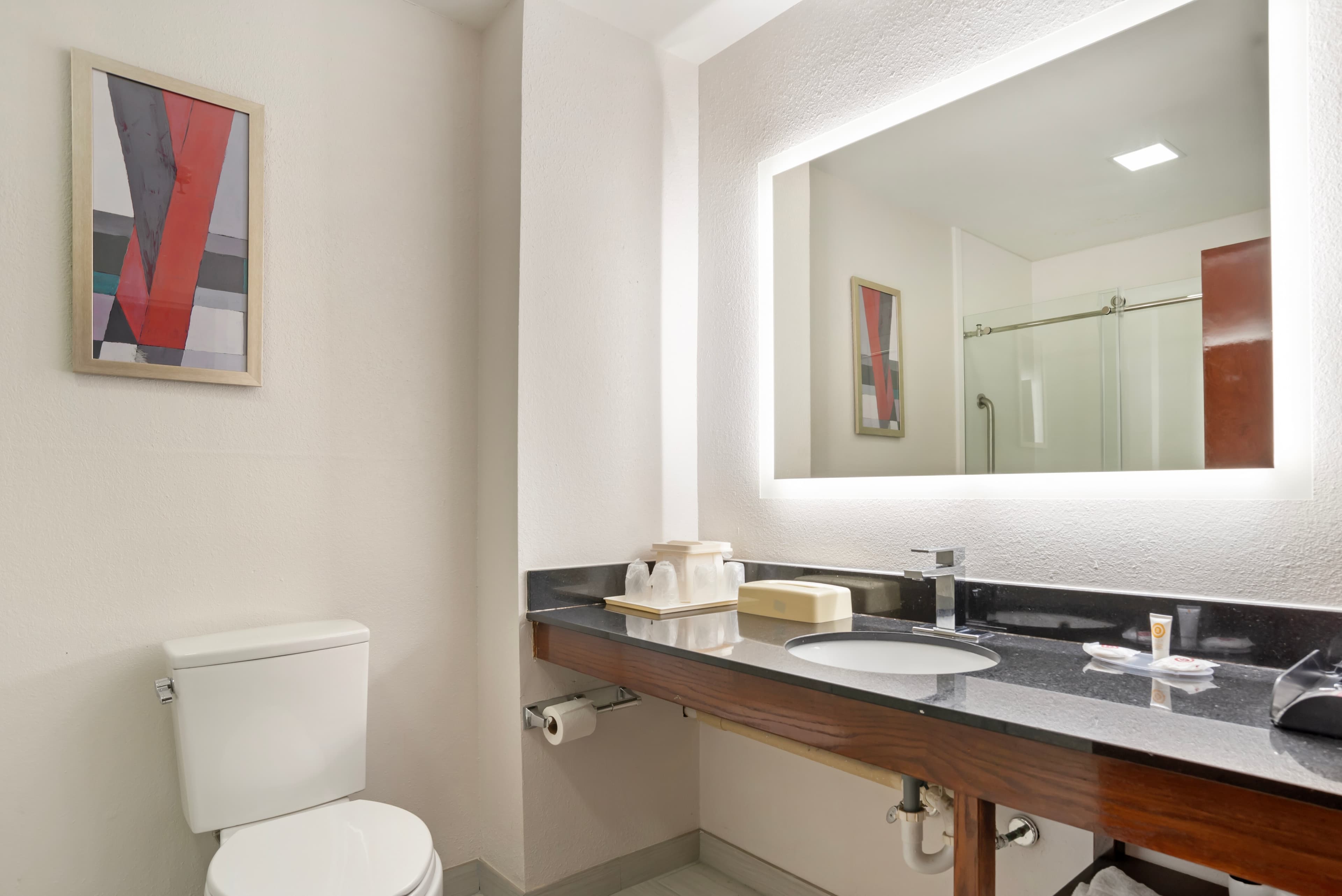 Comfort Inn Livingston - Image 5