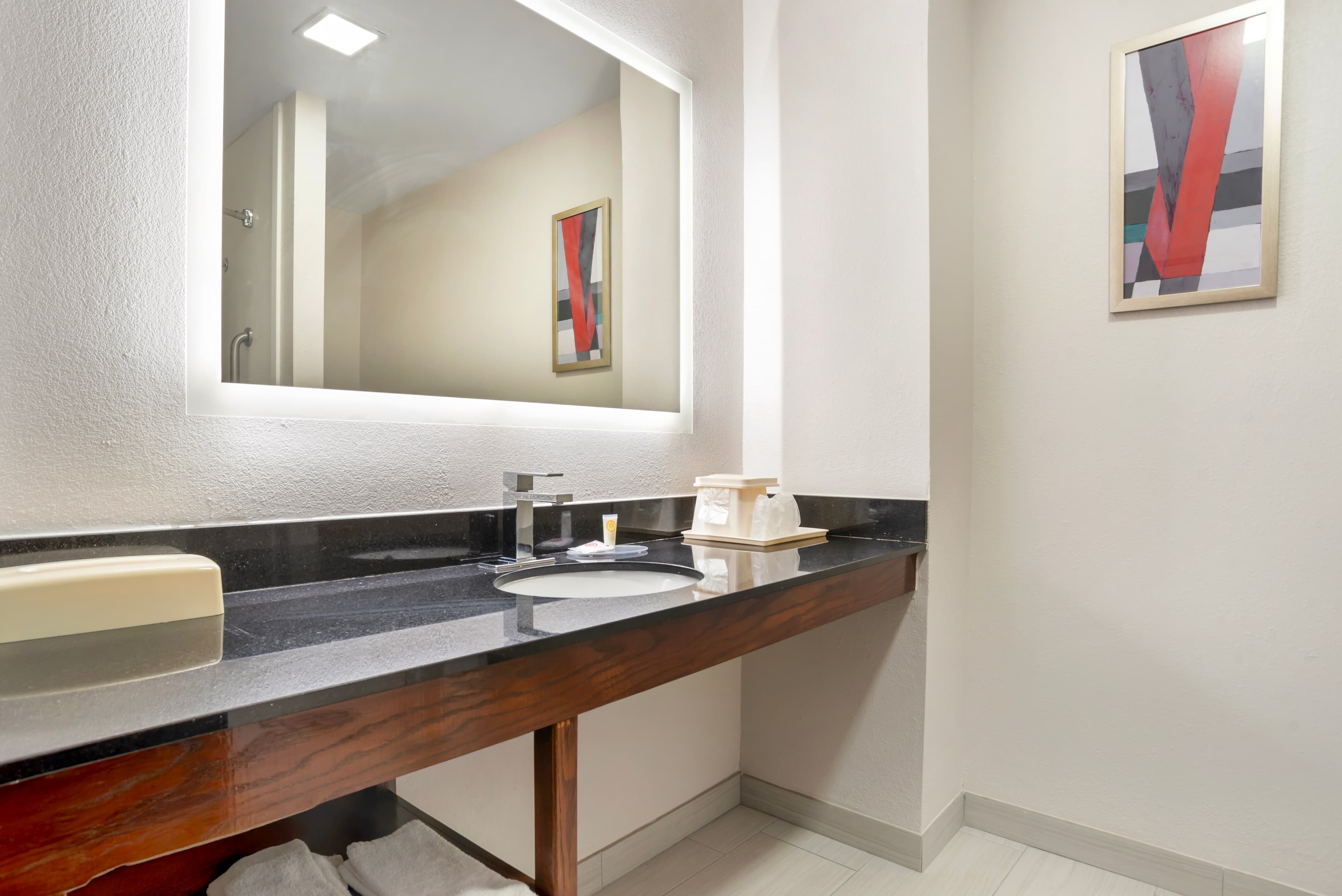 Comfort Inn Livingston — 18