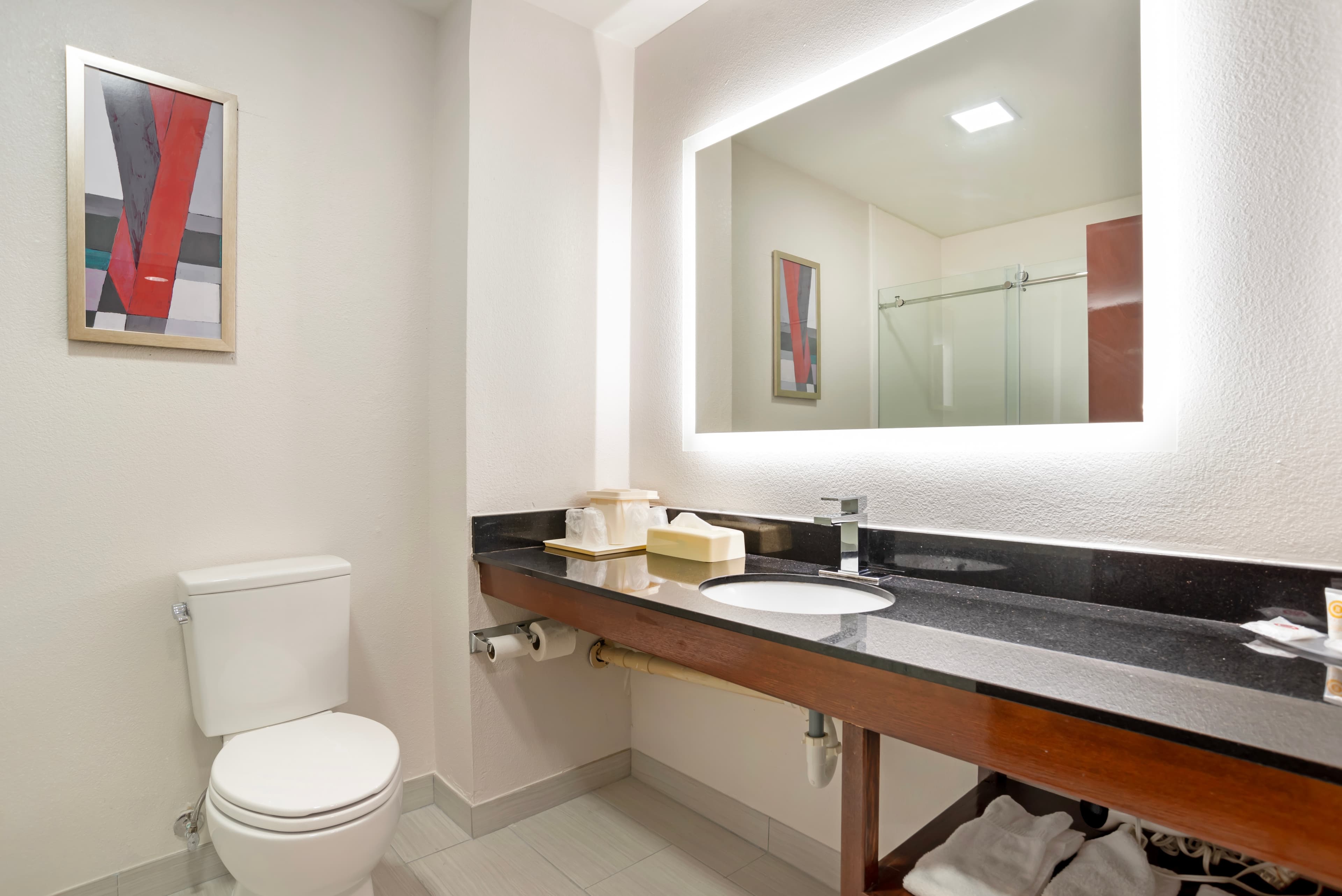 Comfort Inn Livingston — 22