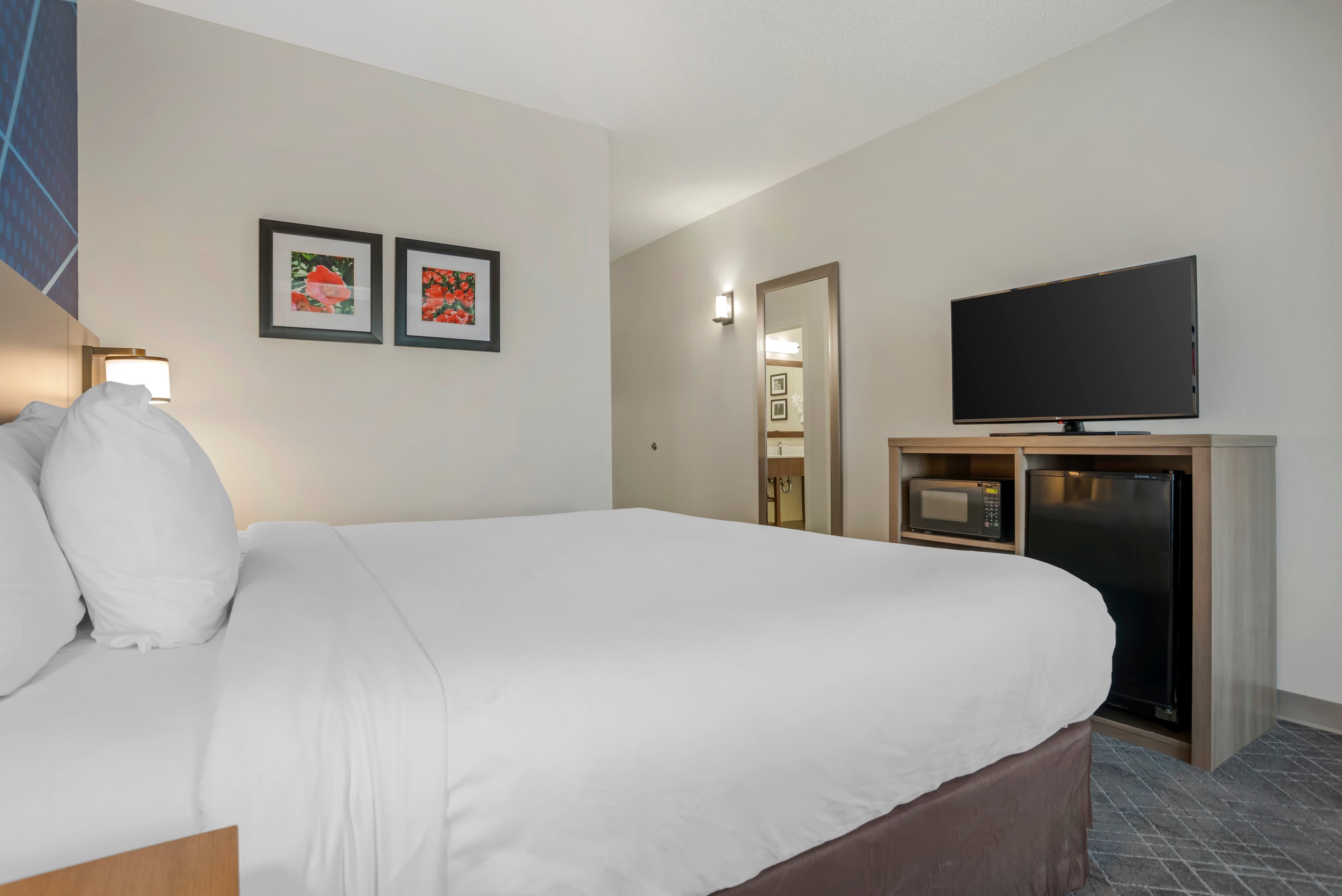Comfort Inn Greenville I-65 — 8