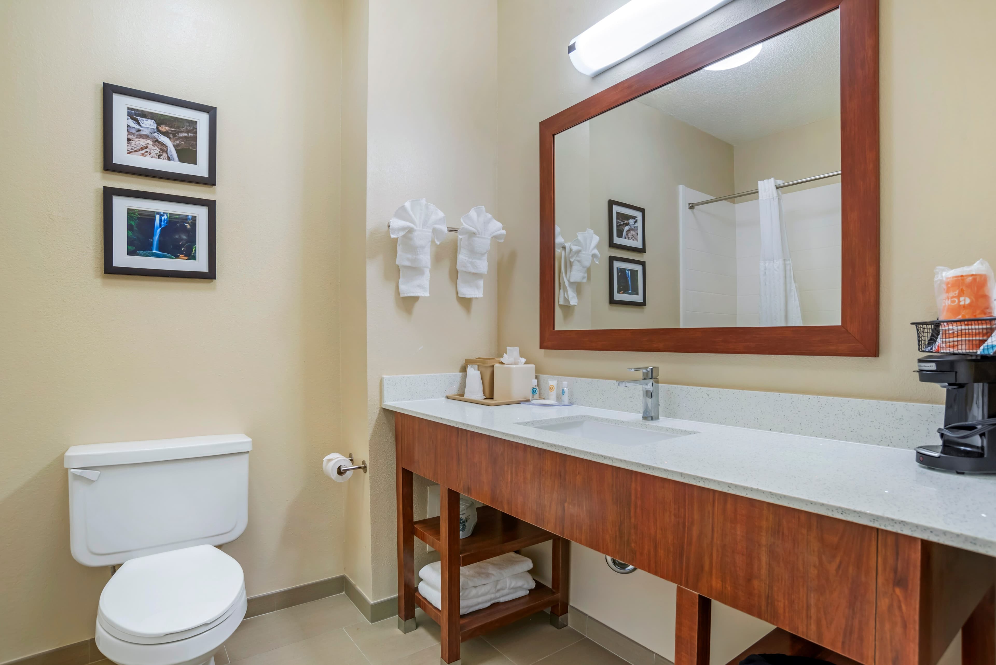 Comfort Inn Greenville I-65 — 9