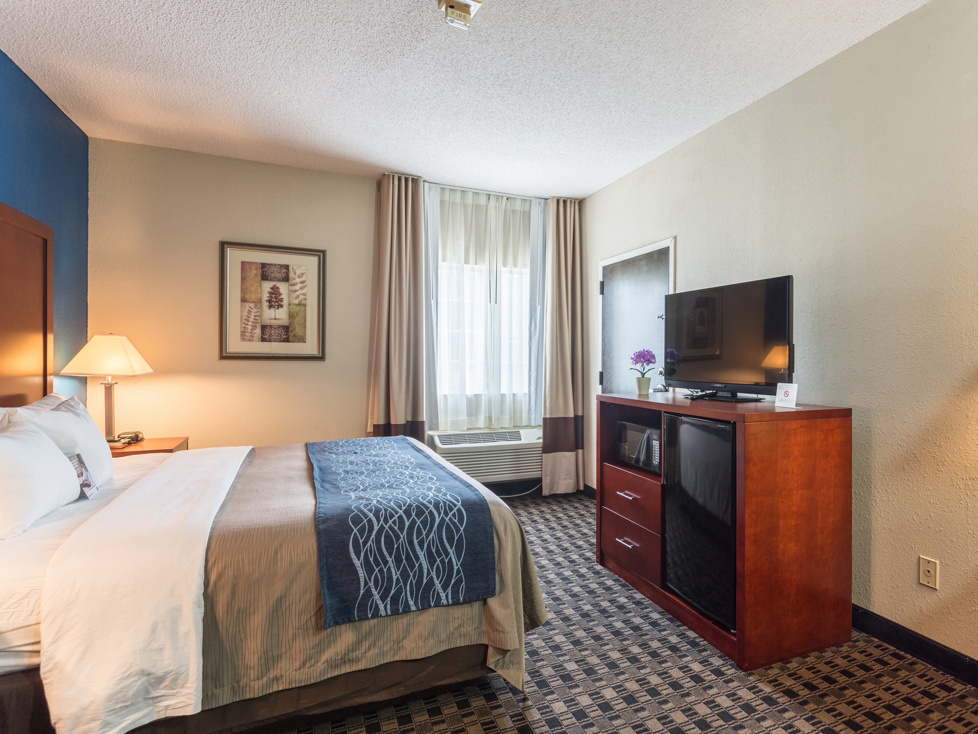 Comfort Inn Decatur Priceville — 7