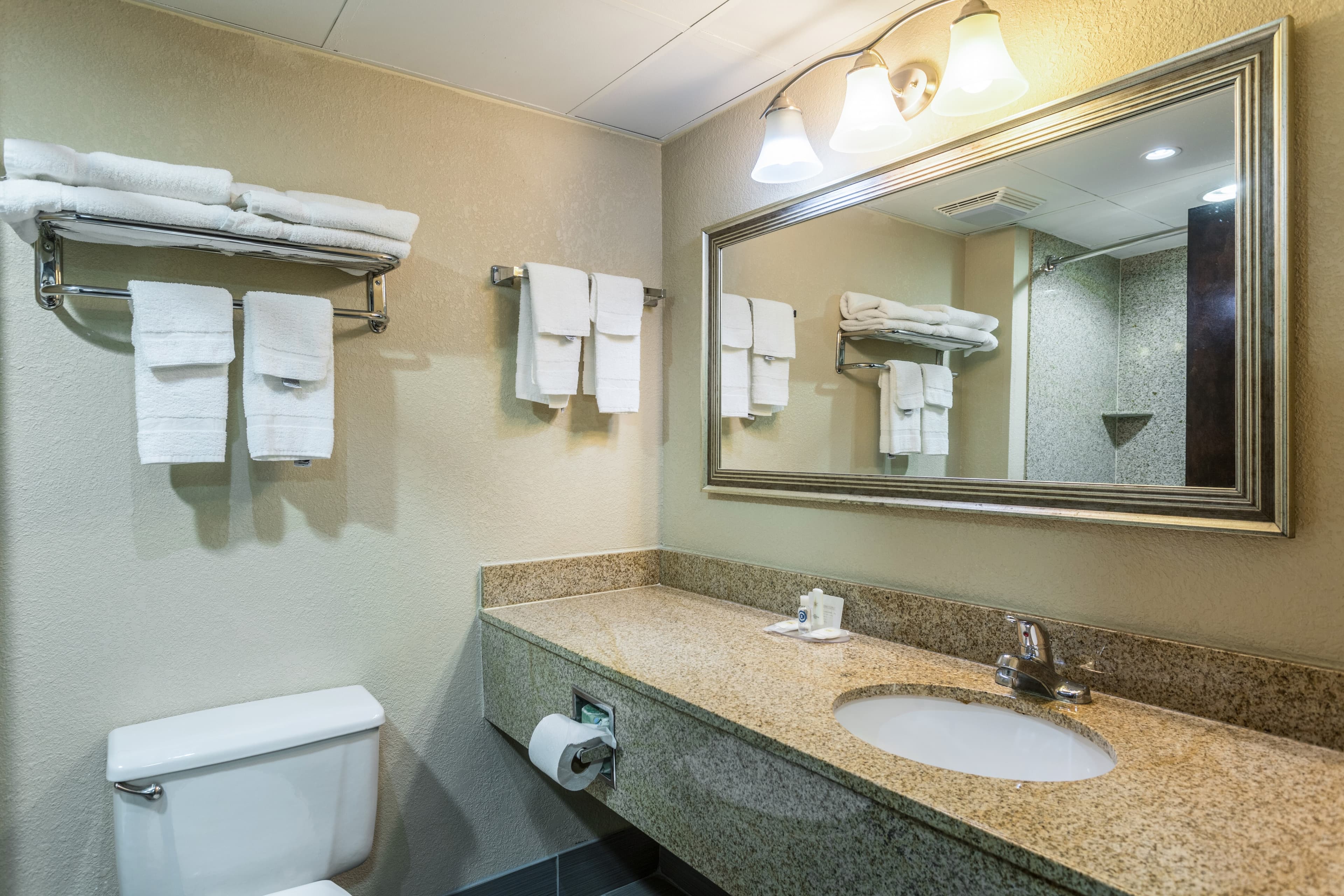 Comfort Inn Decatur Priceville — 18
