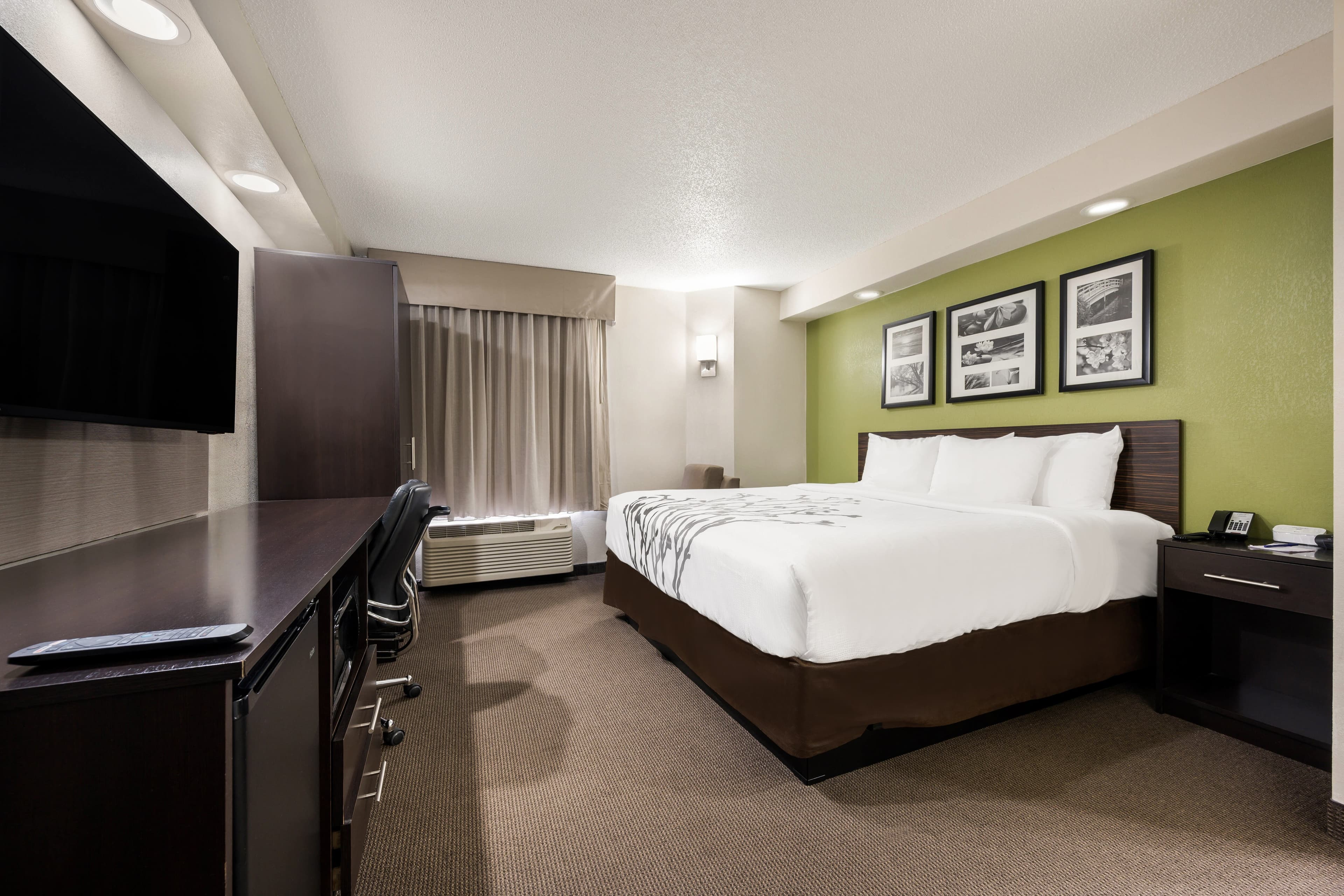 Sleep Inn Athens I-65 — 9