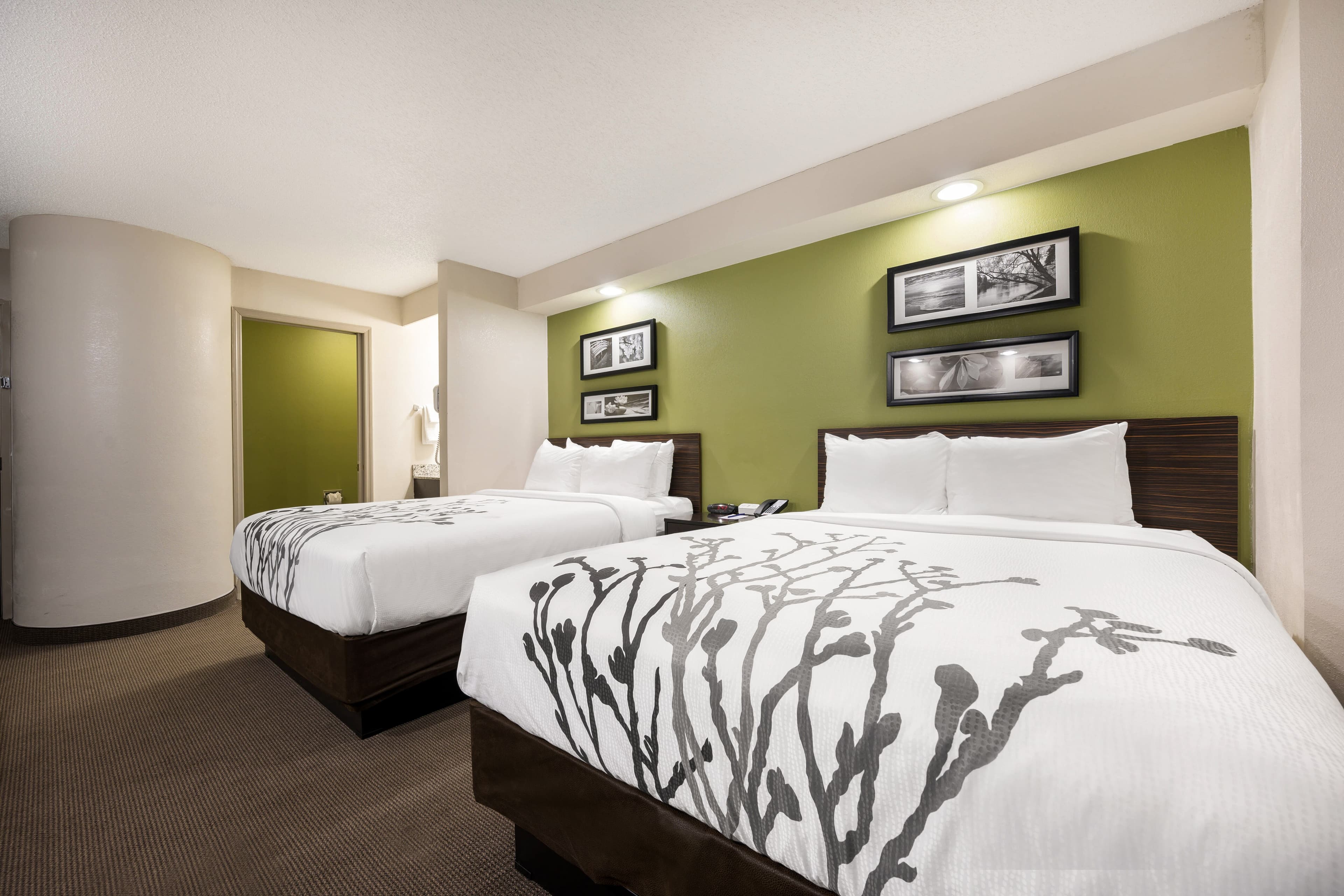 Sleep Inn Athens I-65 — 16