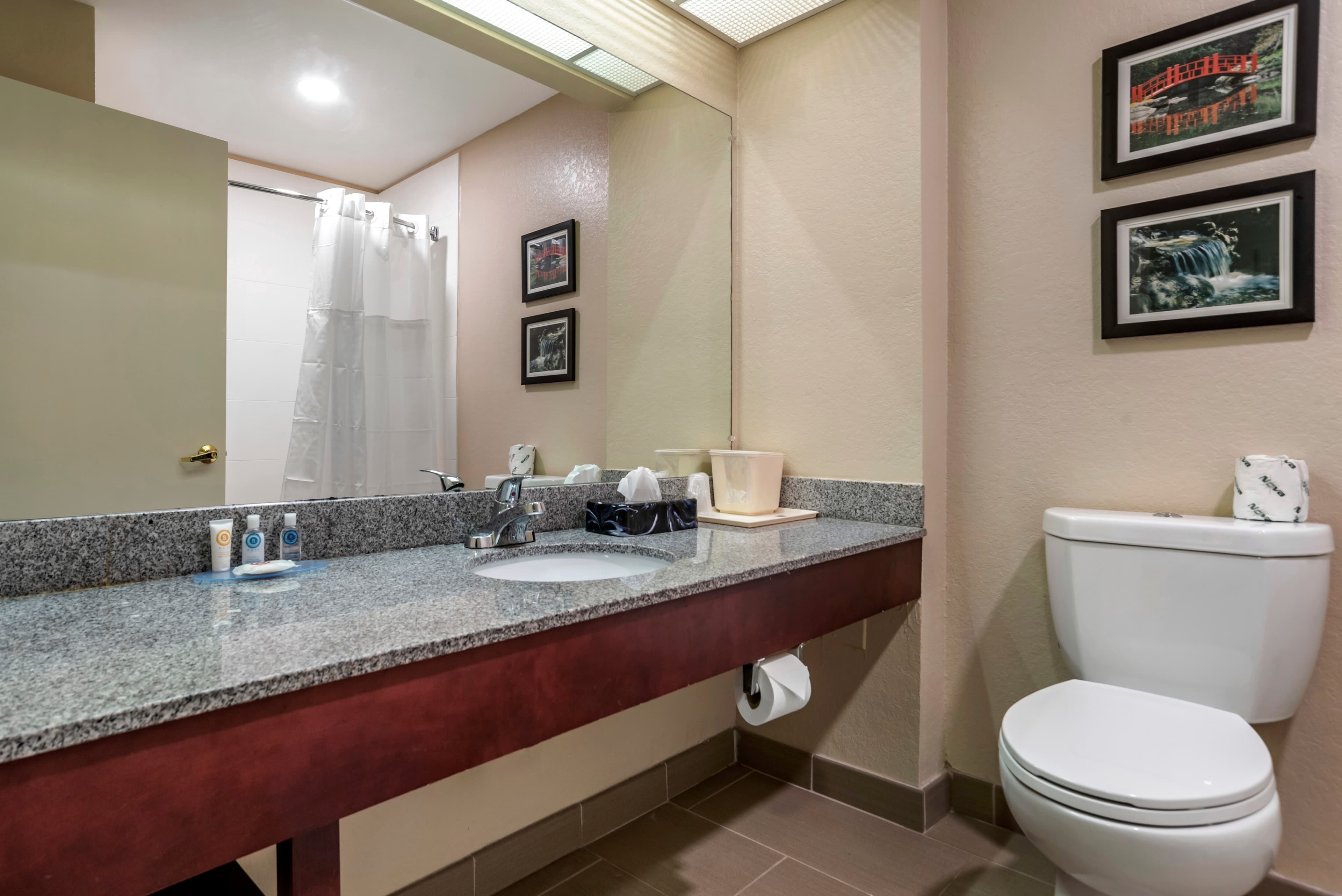 Comfort Inn Birmingham - Irondale — 20