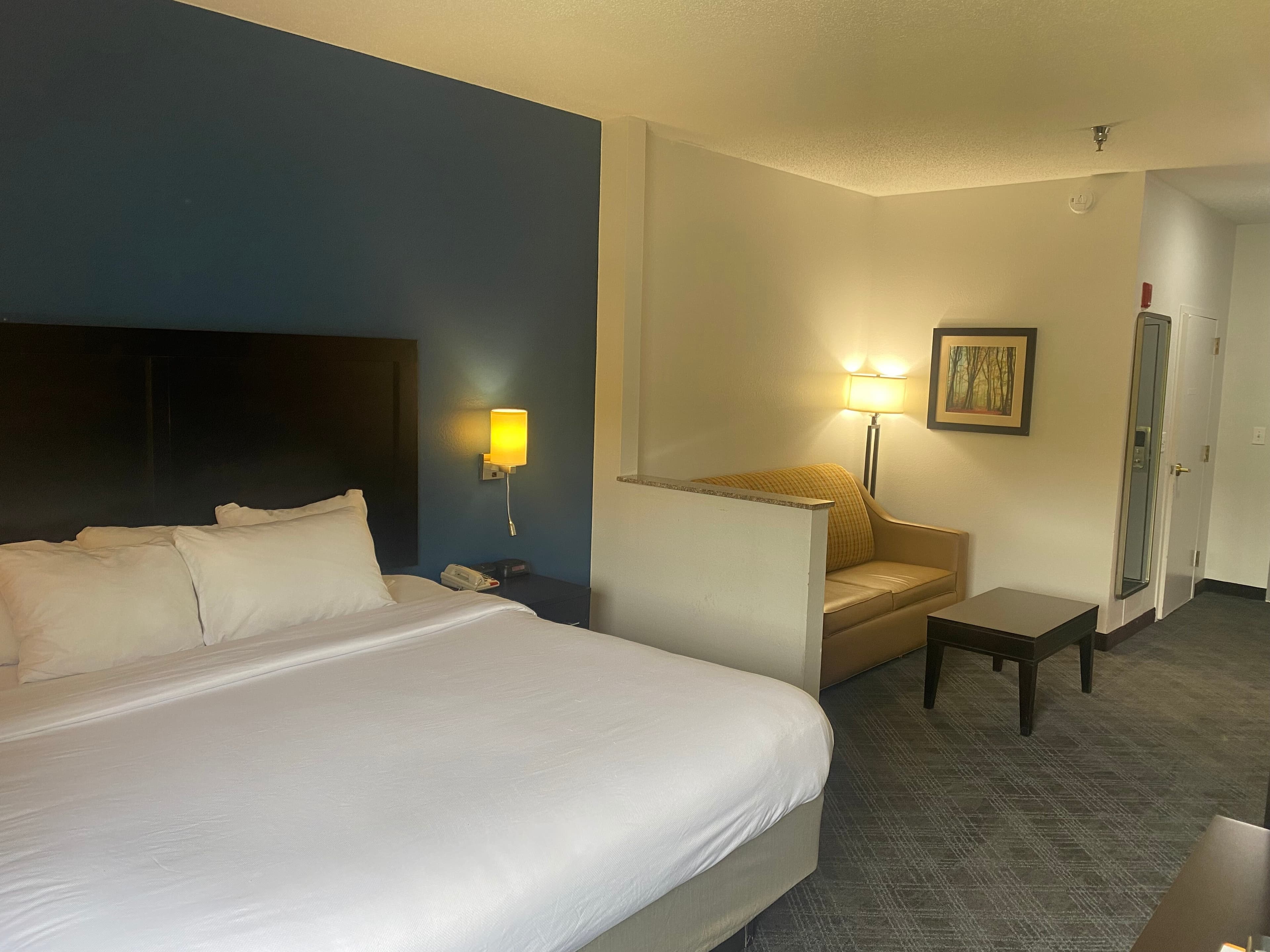 Comfort Inn & Suites Trussville I-59 Exit 141 — 7