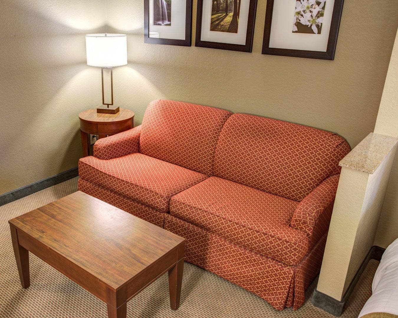 Comfort Suites Gadsden Attalla — 15