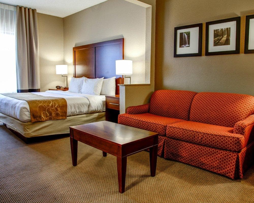 Comfort Suites Gadsden Attalla - Image 2