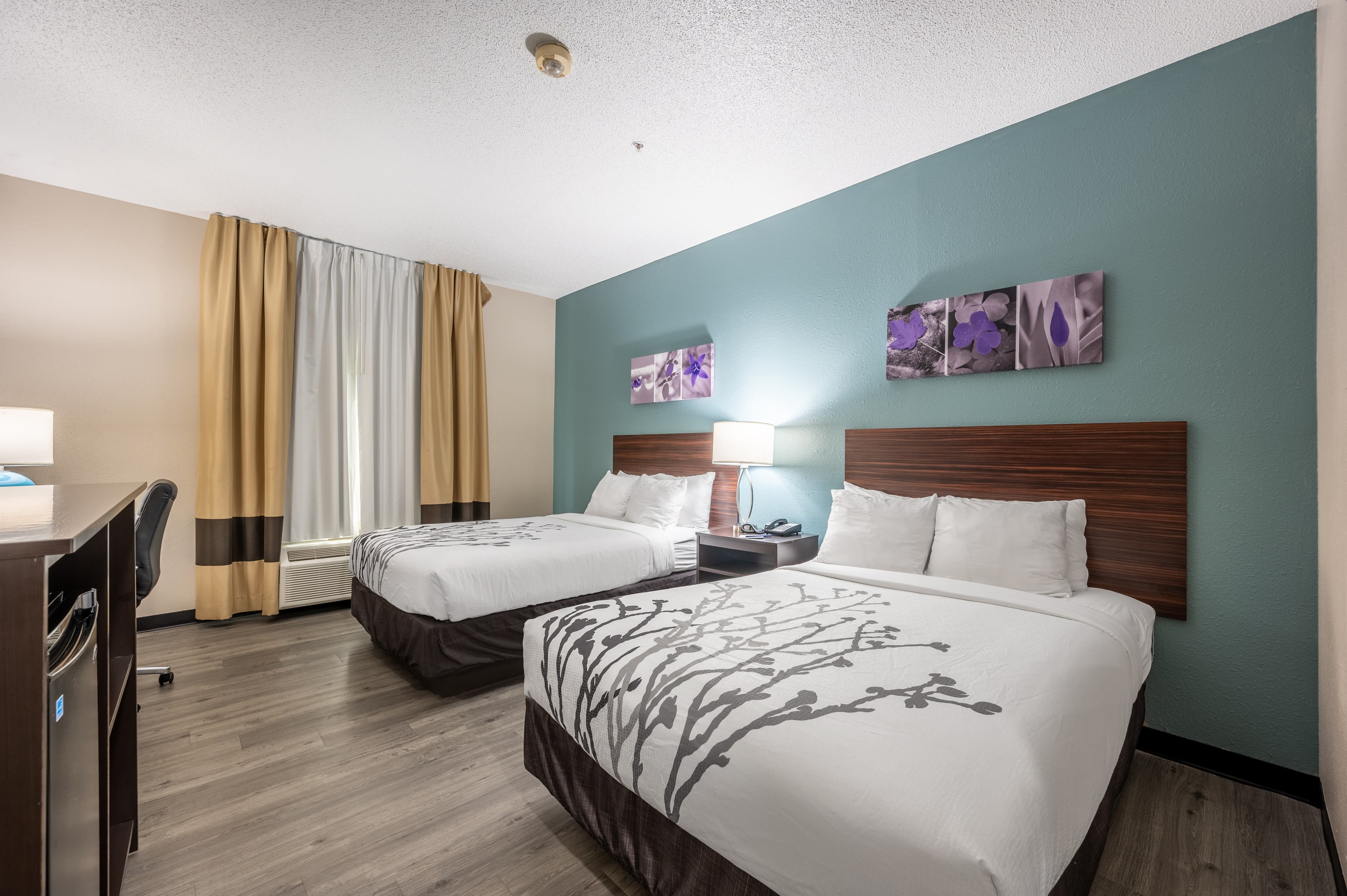 Sleep Inn & Suites Birmingham Colonnade - Image 3