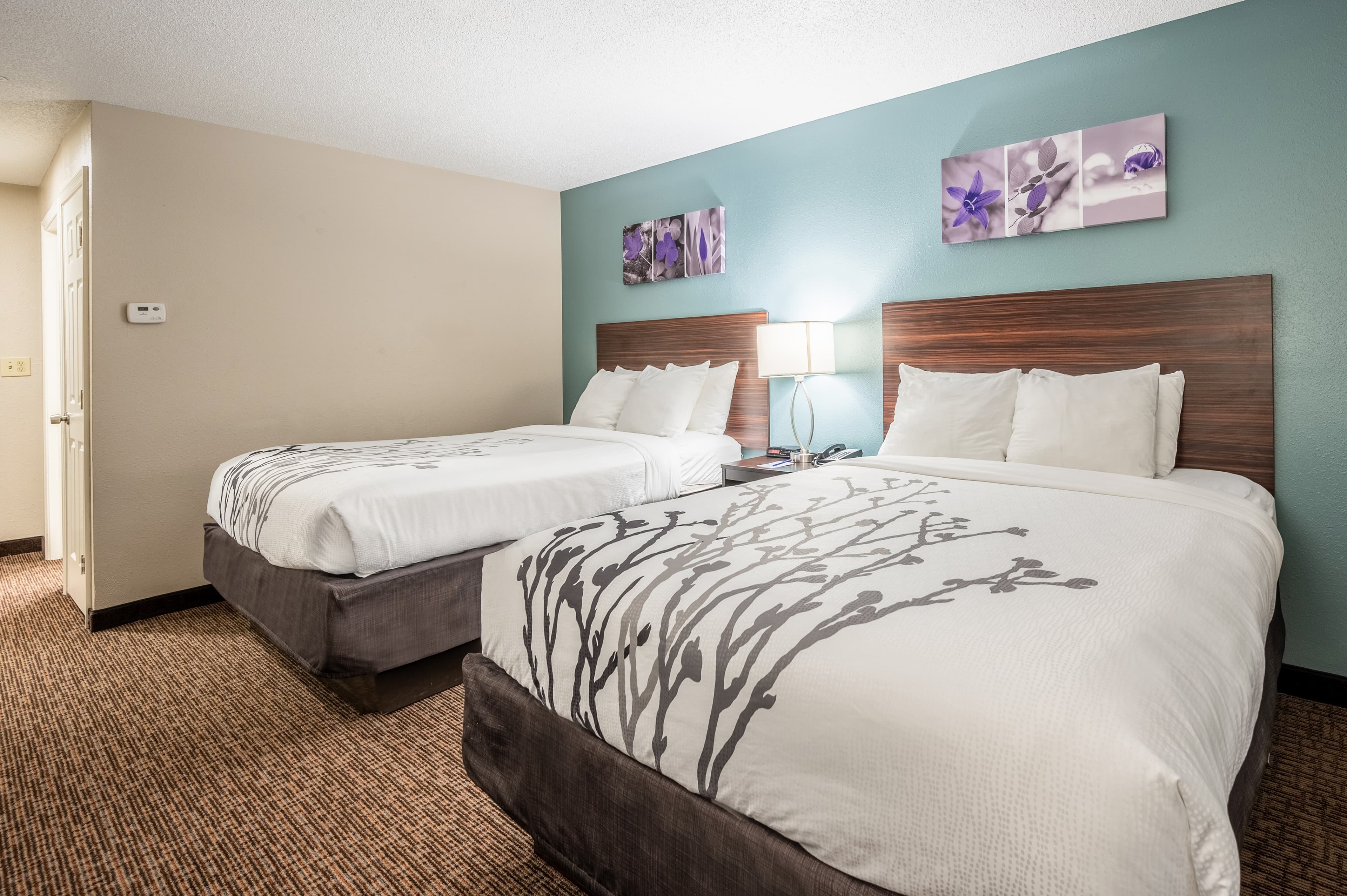 Sleep Inn & Suites Birmingham Colonnade — 15