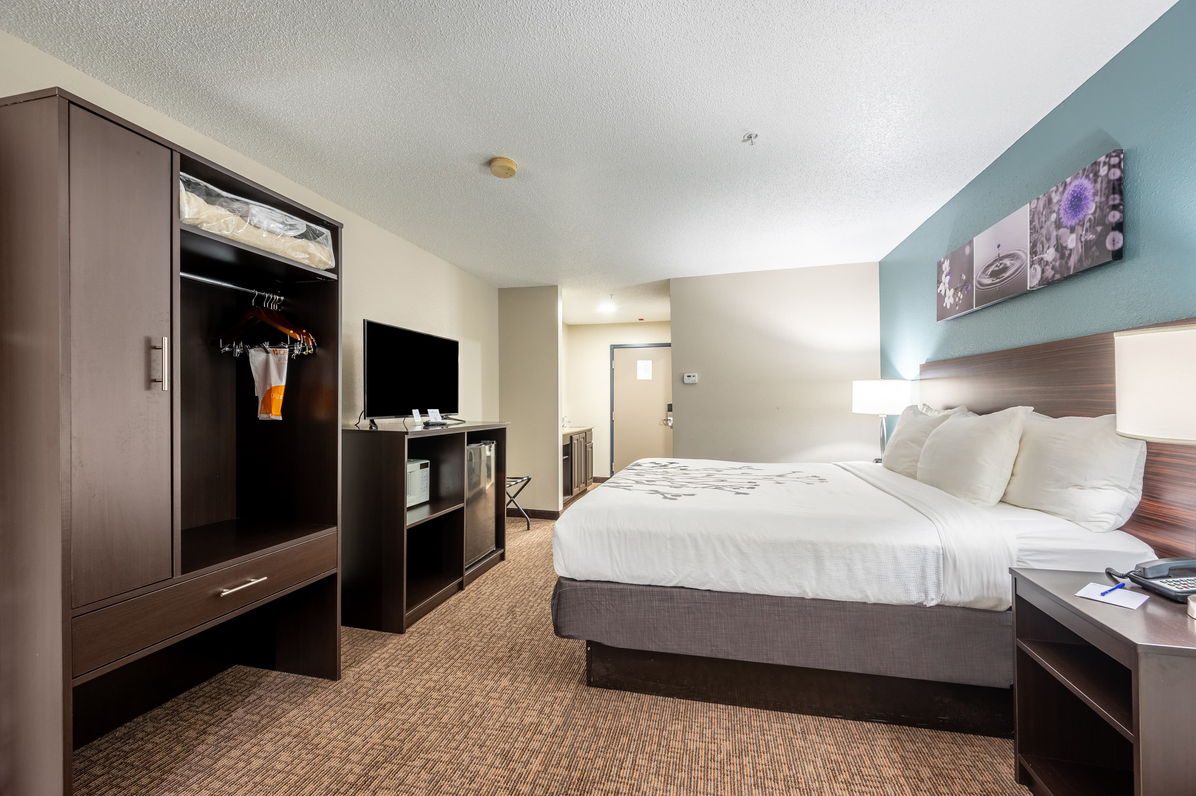 Sleep Inn & Suites Birmingham Colonnade — 23
