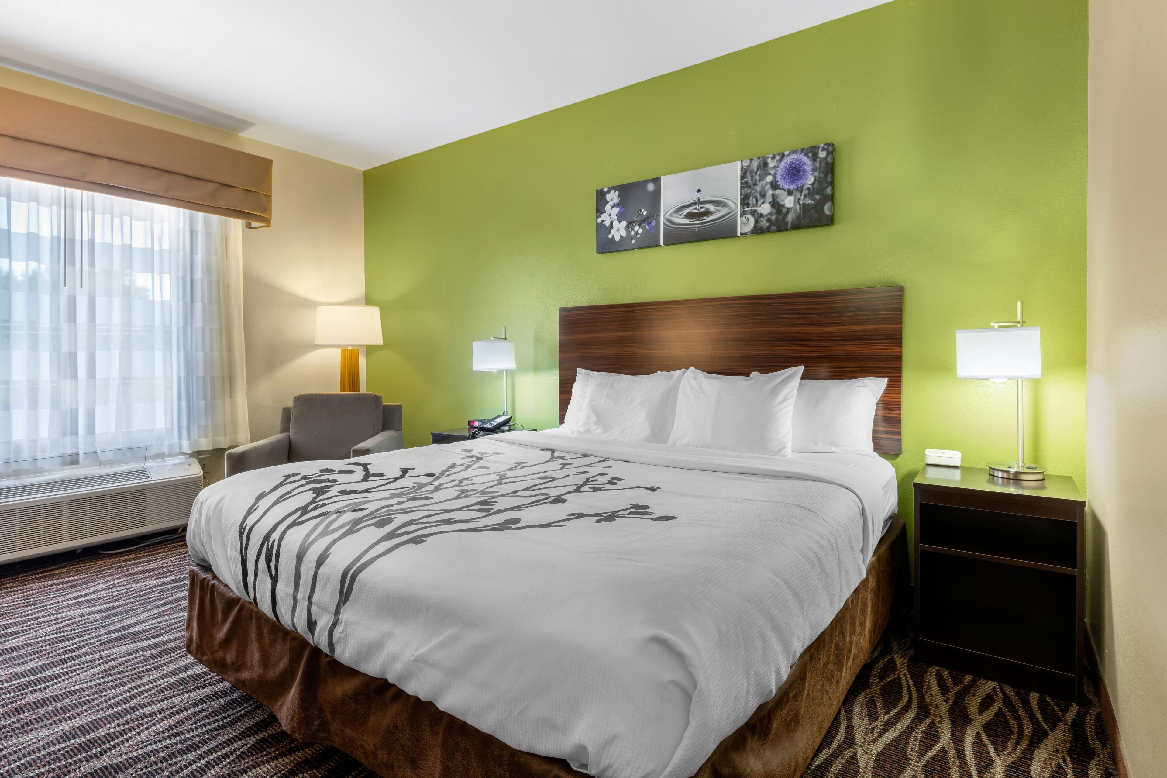 Sleep Inn & Suites Millbrook - Prattville - Image 3
