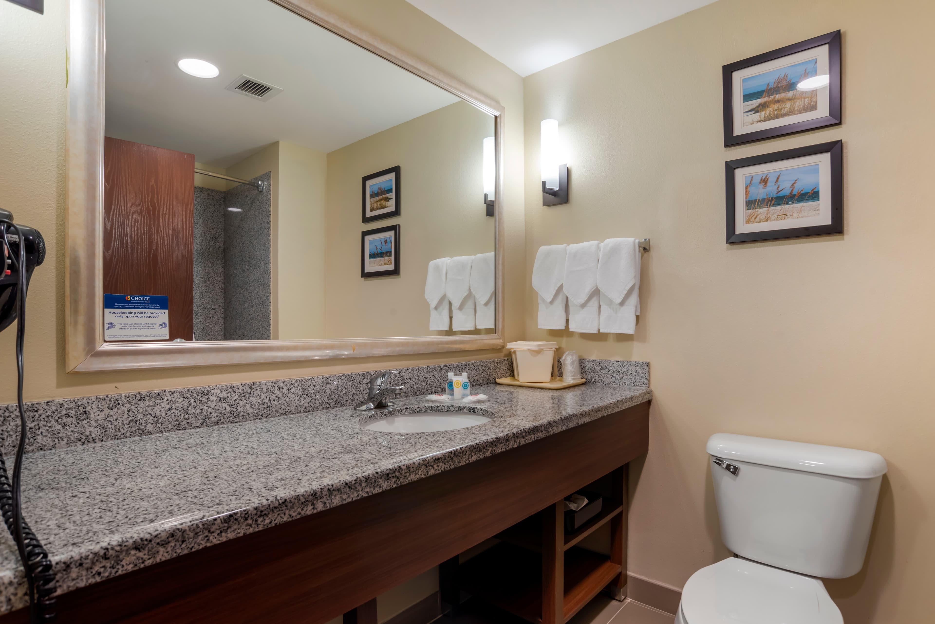 Comfort Suites Foley - North Gulf Shores - Image 5