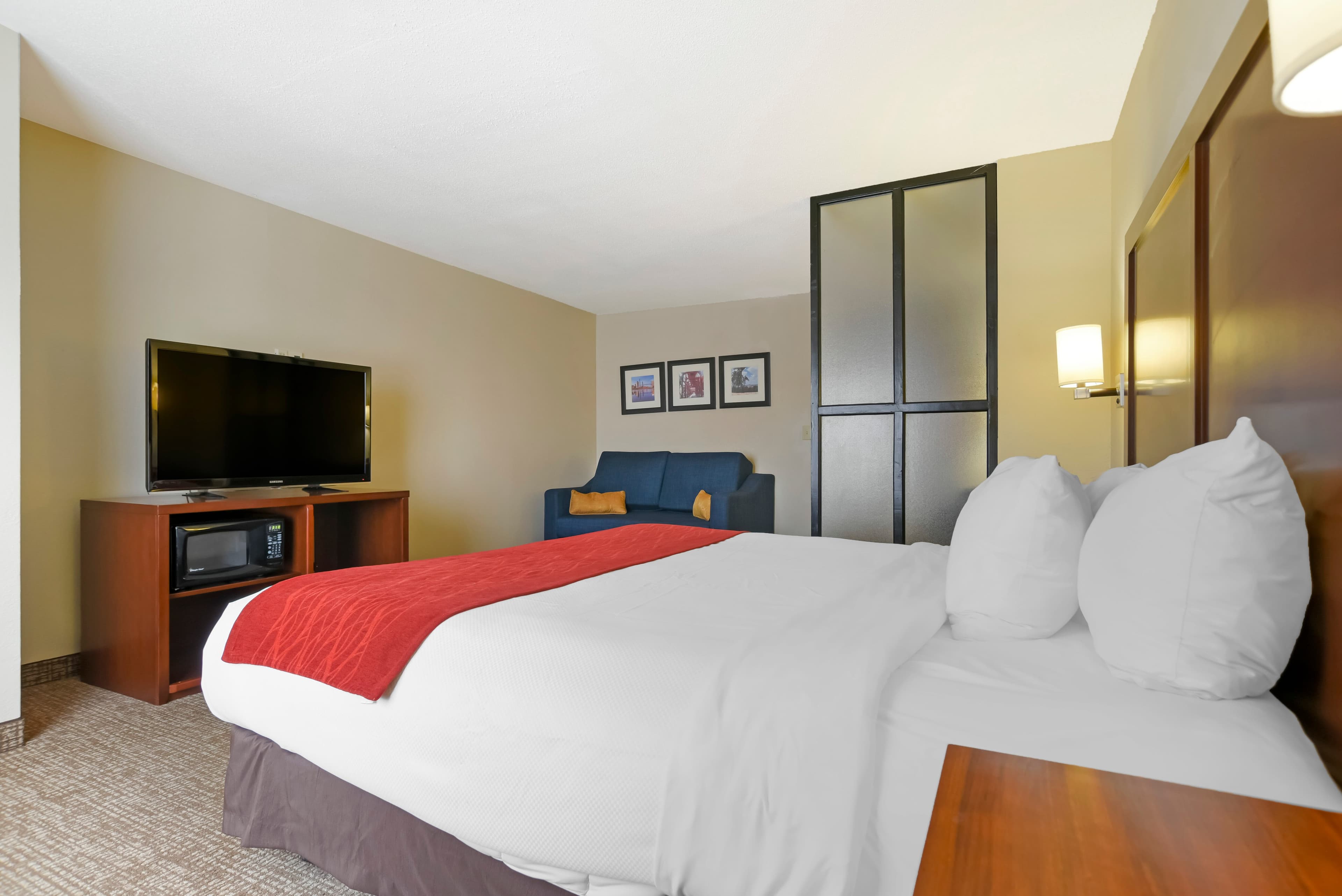 Comfort Suites Fultondale I-65 near I-22 — 9