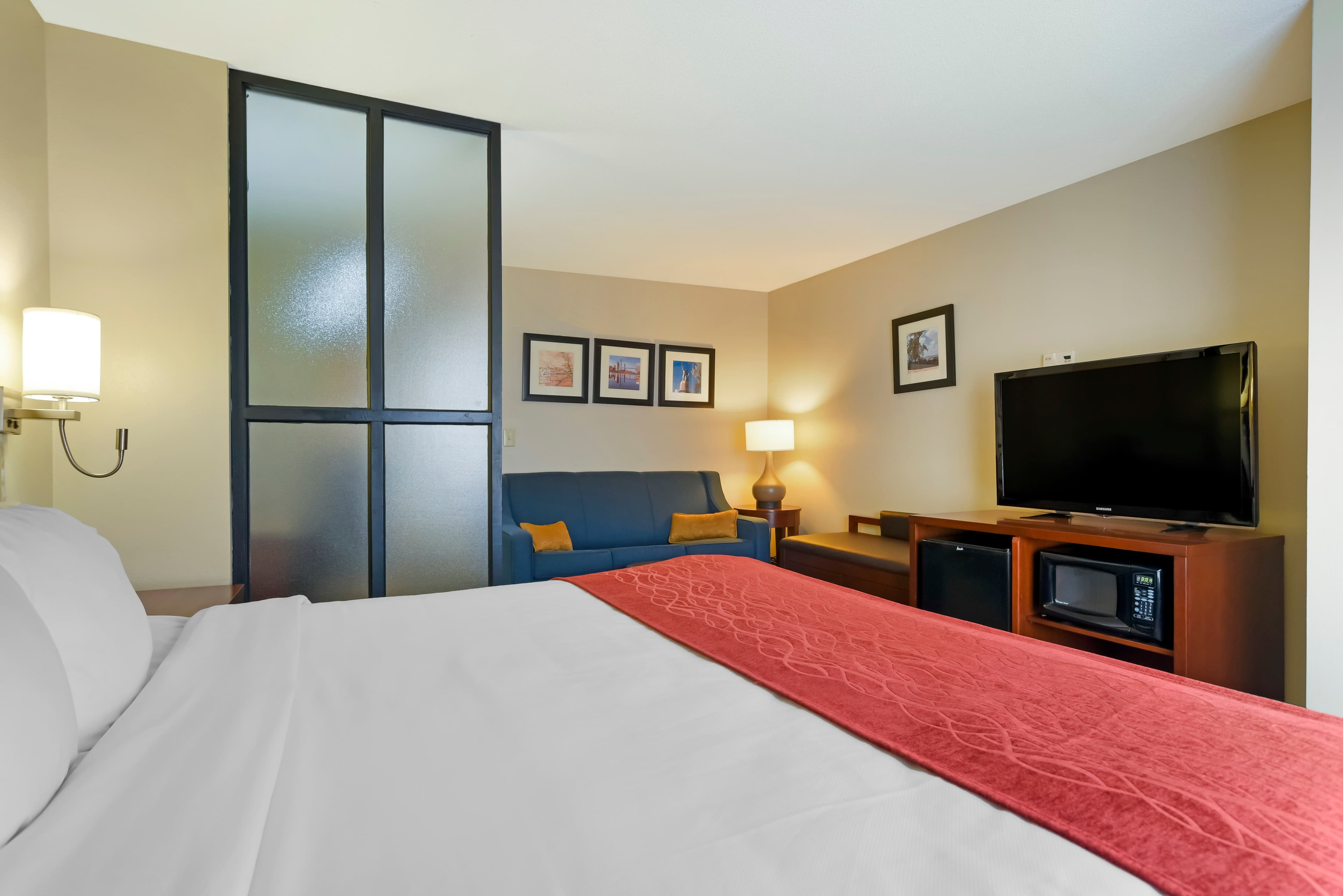 Comfort Suites Fultondale I-65 near I-22 — 19