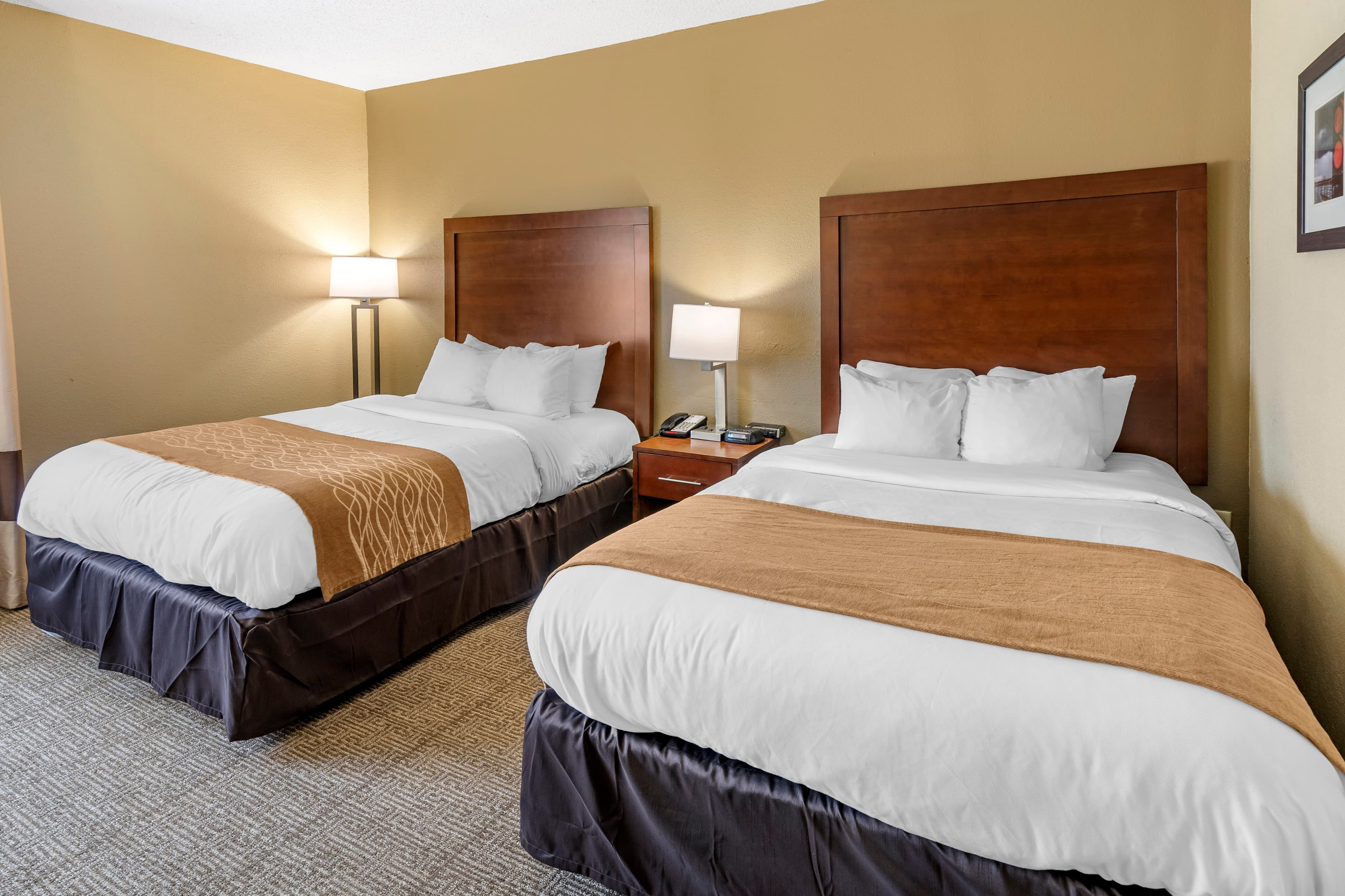 Comfort Inn & Suites Lincoln I-20 - Image 2
